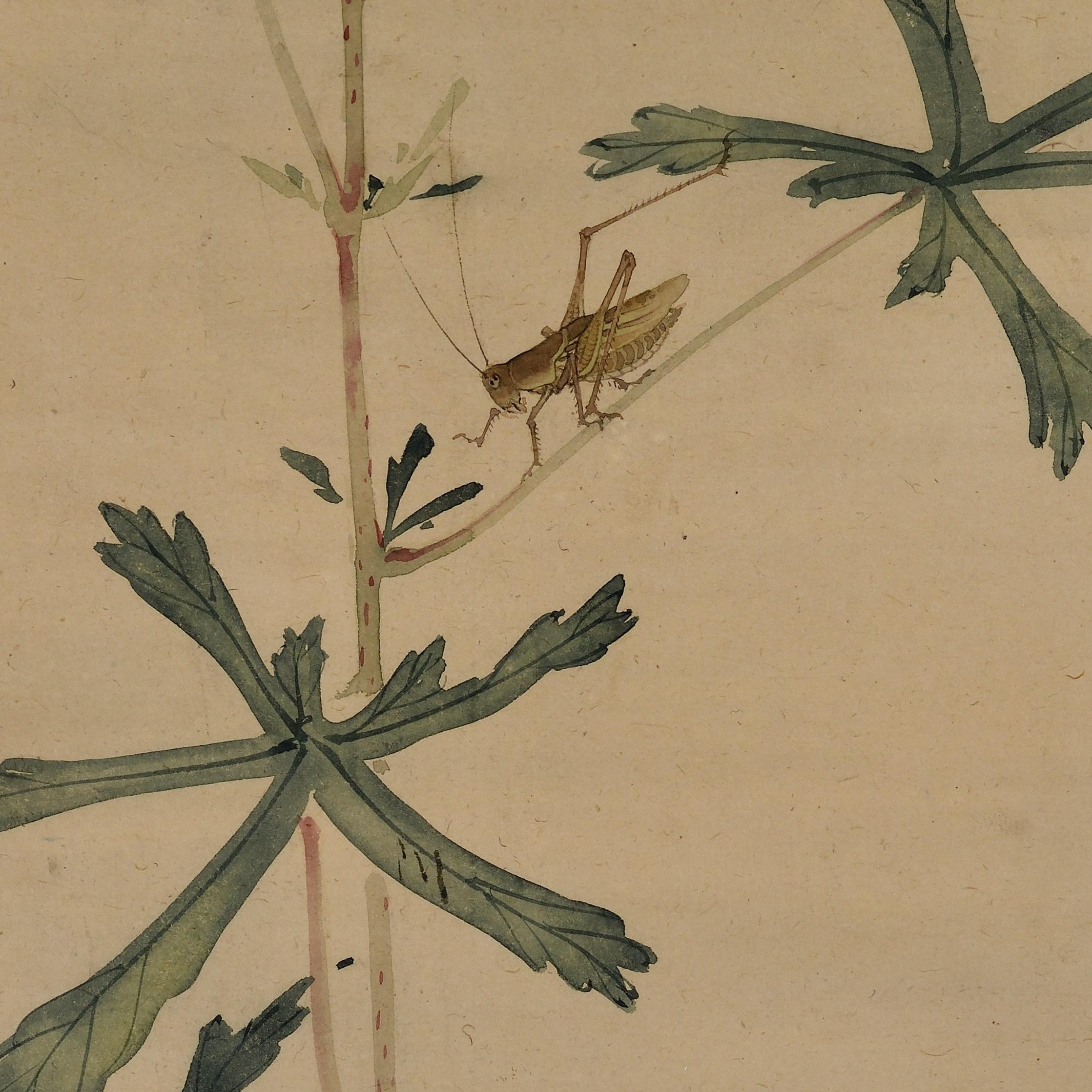Mid 19th Century Framed Japanese Painting. Grasshopper & Hibiscus. In Good Condition For Sale In Kyoto, JP