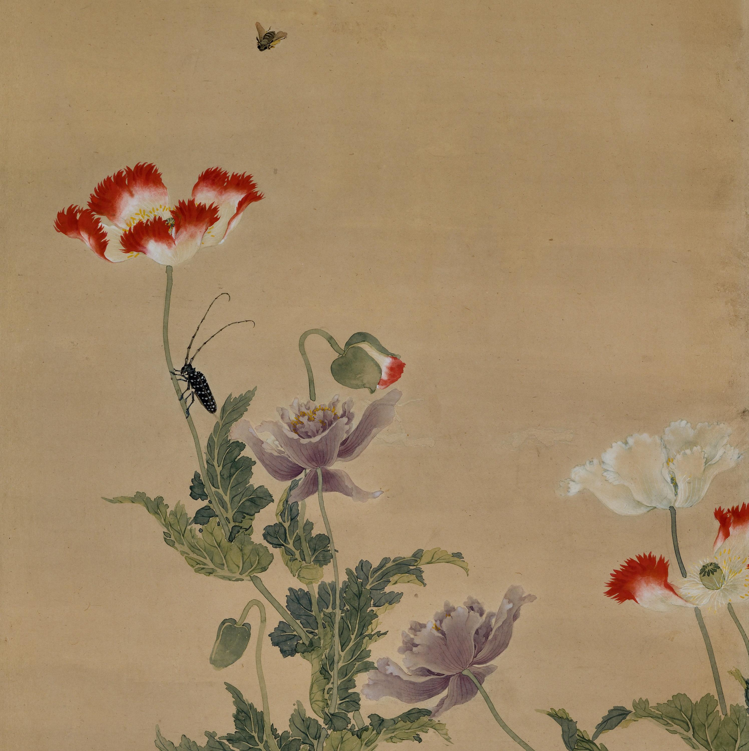 Mitte des 19. Jahrhunderts gerahmte japanische Malerei. Longhorn Käfer und Mohnblumen. (Edo) im Angebot