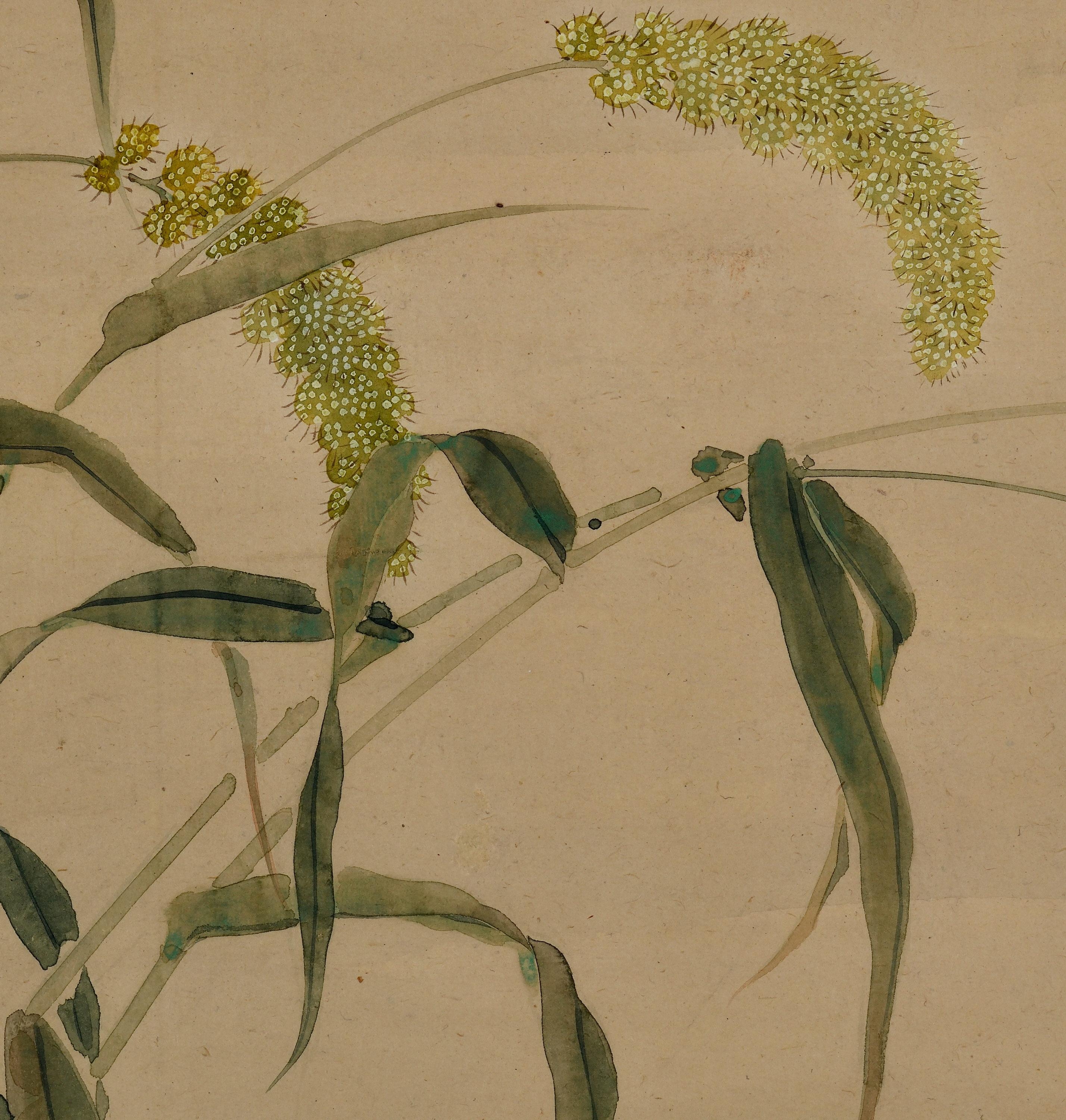 Paper Mid 19th Century Framed Japanese Painting. Mice & Millet For Sale