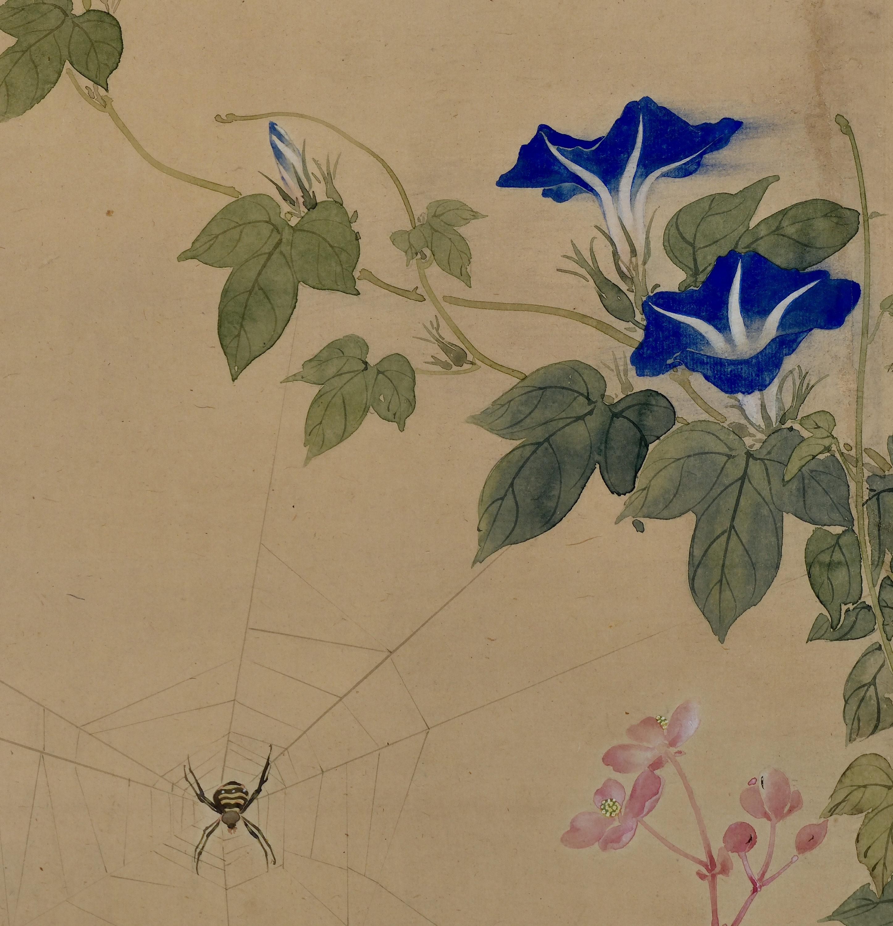 Mid 19th Century Framed Japanese Painting. Spider & Morning Glory. In Good Condition For Sale In Kyoto, JP