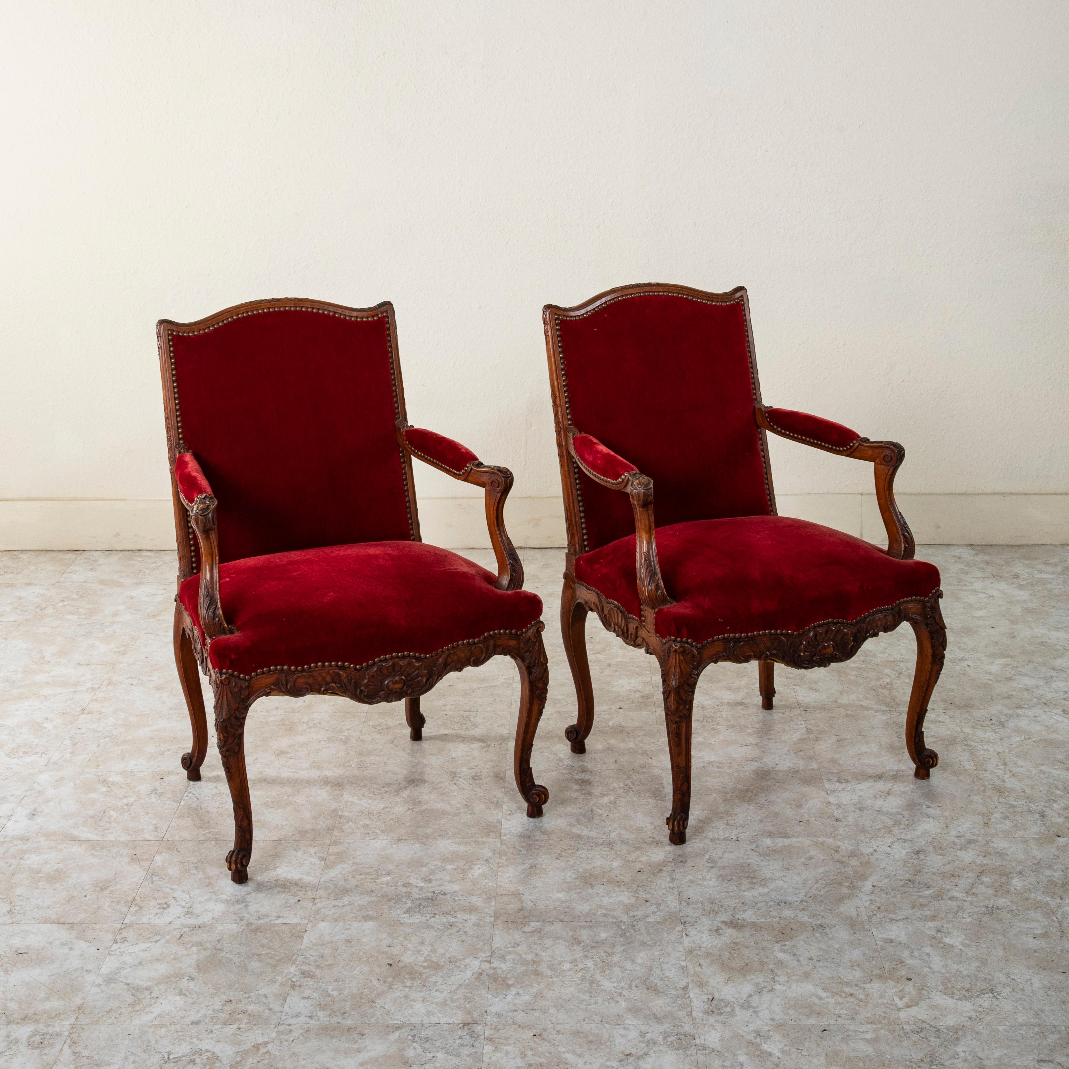 Dieses Paar Sessel aus Buchenholz im französischen Regency-Stil aus der Mitte des neunzehnten Jahrhunderts zeichnet sich durch handgeschnitzte Details aus symmetrischen Muscheln, Akanthusblättern und Blumen an der Oberseite der Sitzlehnen aus. Die