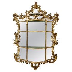 Mid 19th Century Giltwood Carved Wood Rococo Wall Mirror