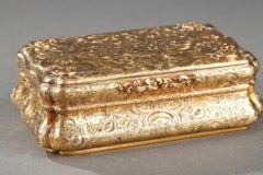 Mid-19th century Hanau Gold Box.
