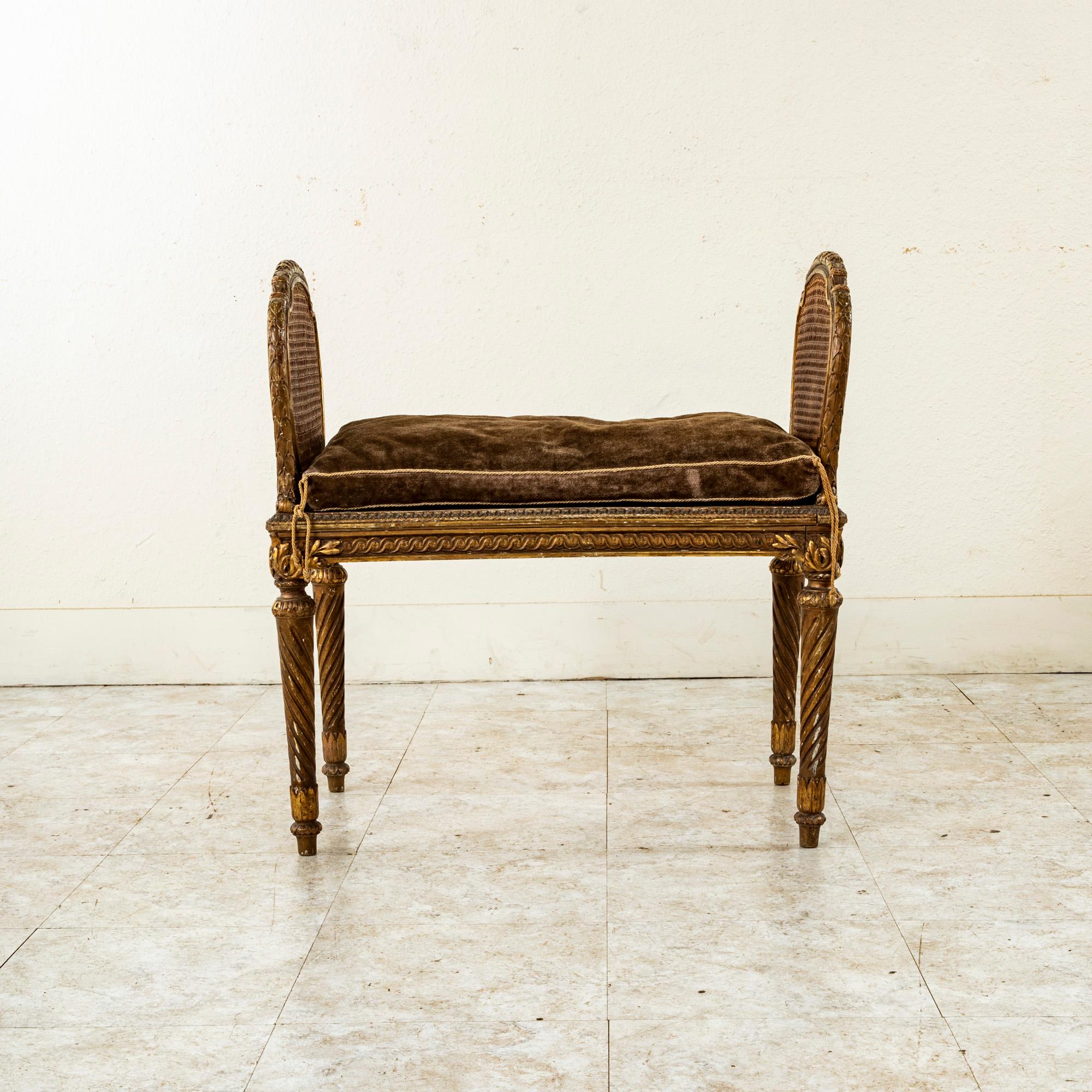 Upholstery Mid-19th Century Italian Giltwood and Cane Vanity Bench or Stool 