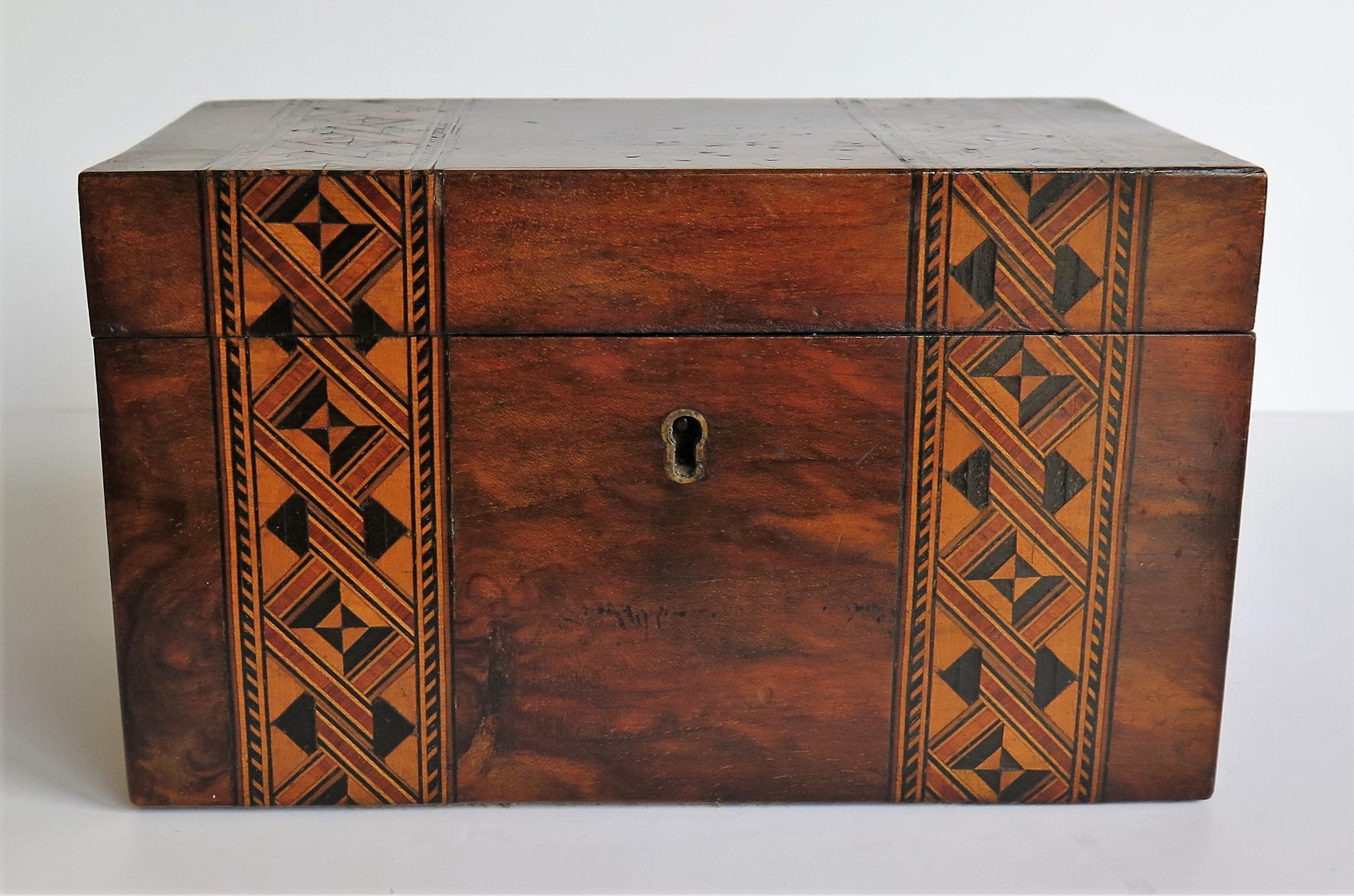 Mid-19th Century Lidded Box Walnut with Parquetry Mosaic Inlay, Mid Victorian 5