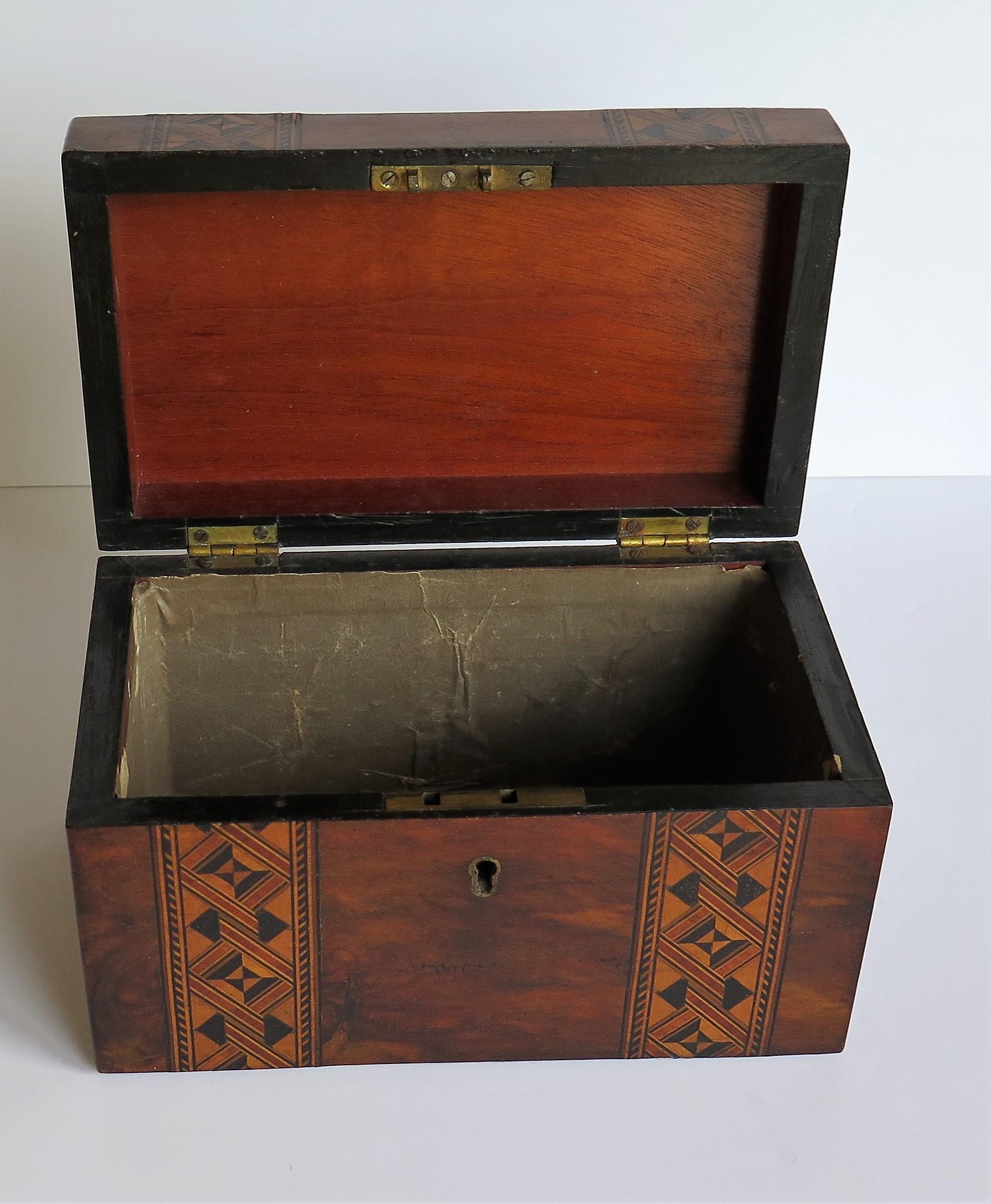 Mid-19th Century Lidded Box Walnut with Parquetry Mosaic Inlay, Mid Victorian 10