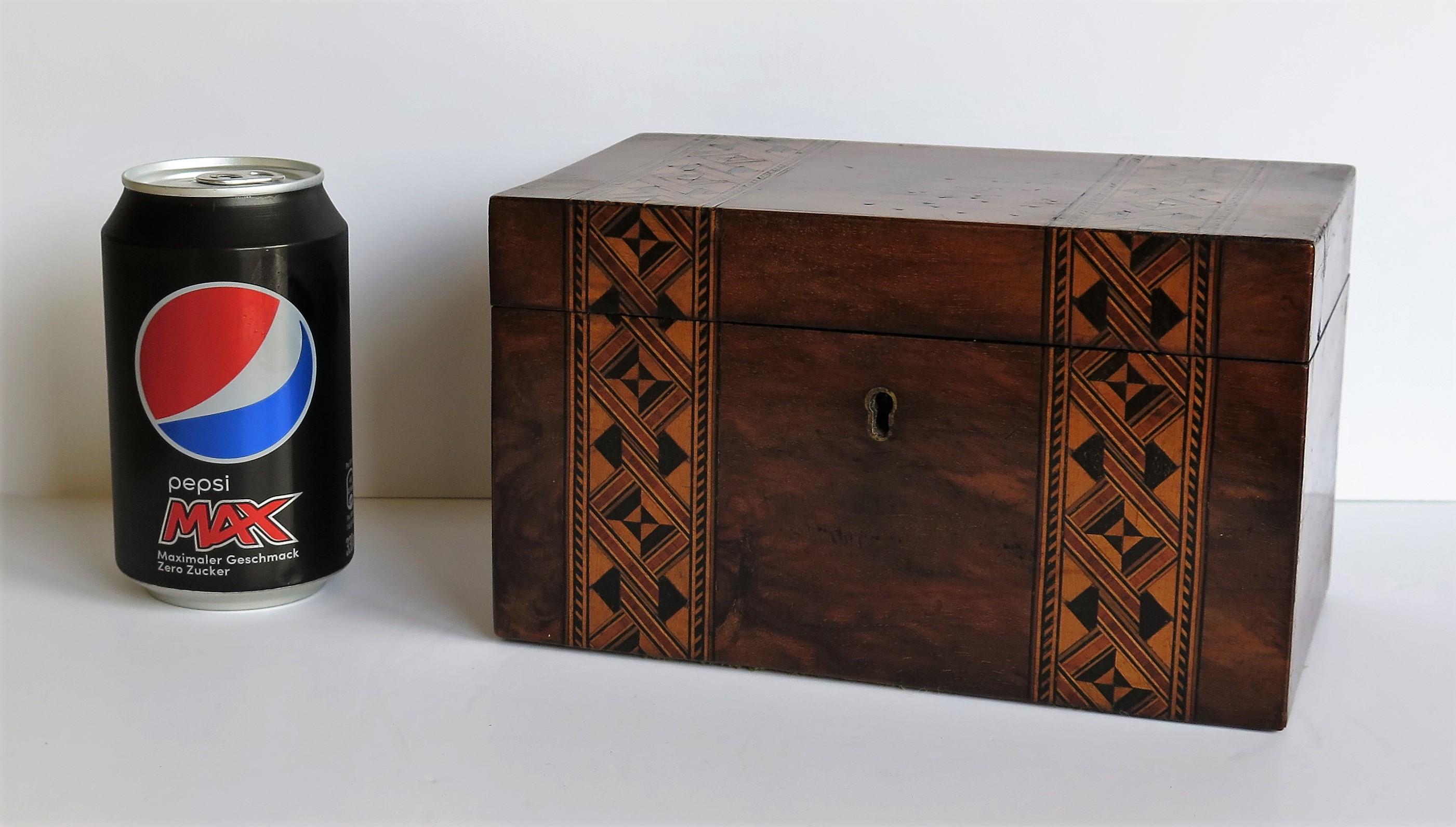 Mid-19th Century Lidded Box Walnut with Parquetry Mosaic Inlay, Mid Victorian 13