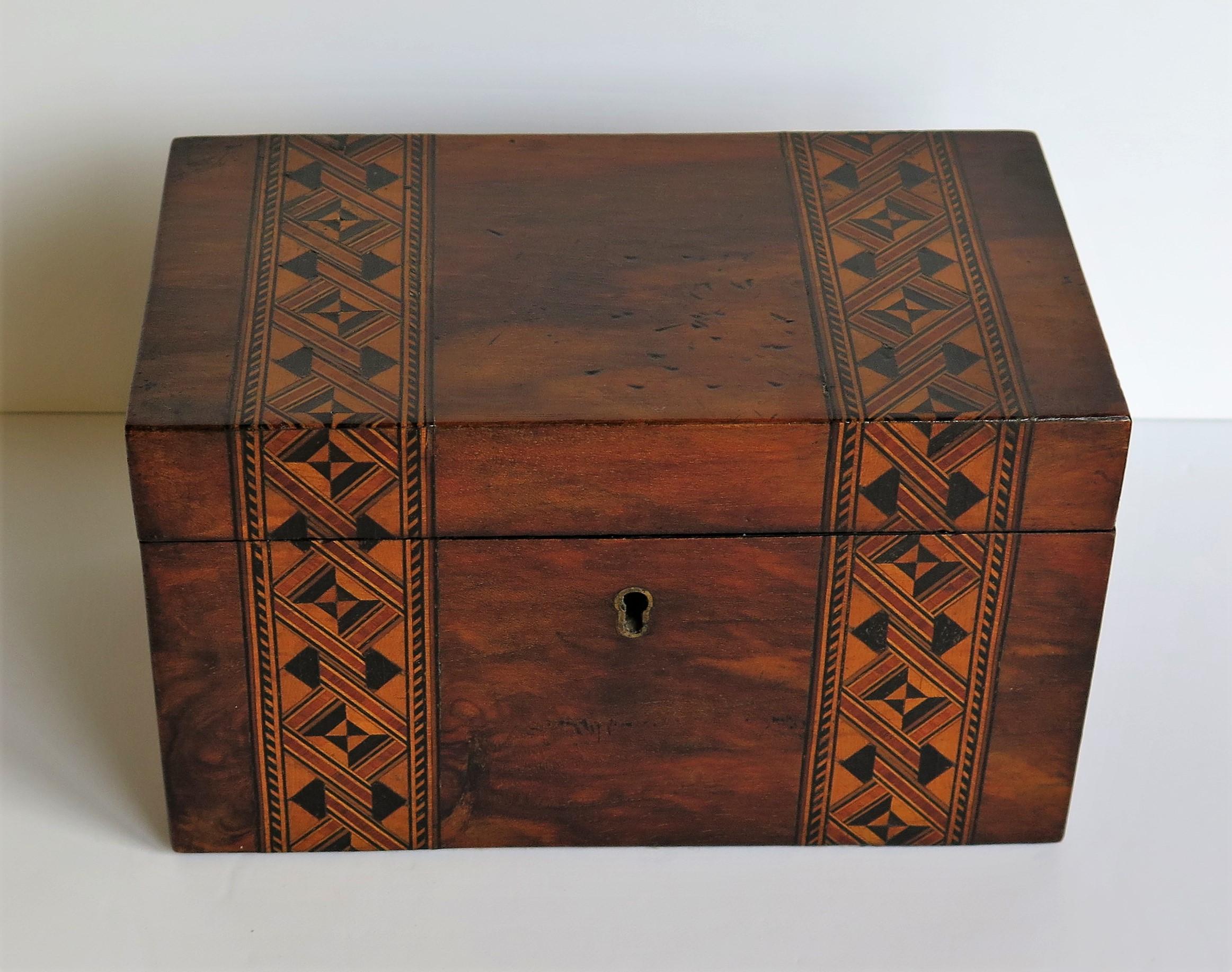 English Mid-19th Century Lidded Box Walnut with Parquetry Mosaic Inlay, Mid Victorian