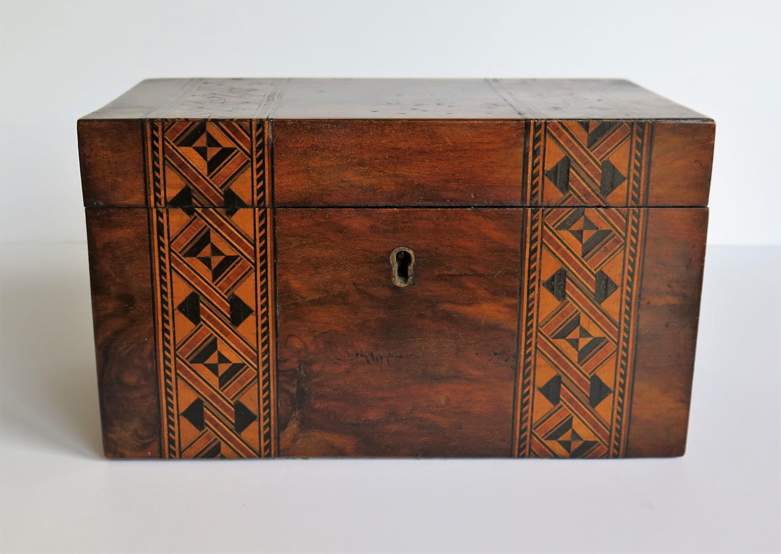 Mid-19th Century Lidded Box Walnut with Parquetry Mosaic Inlay, Mid Victorian 3