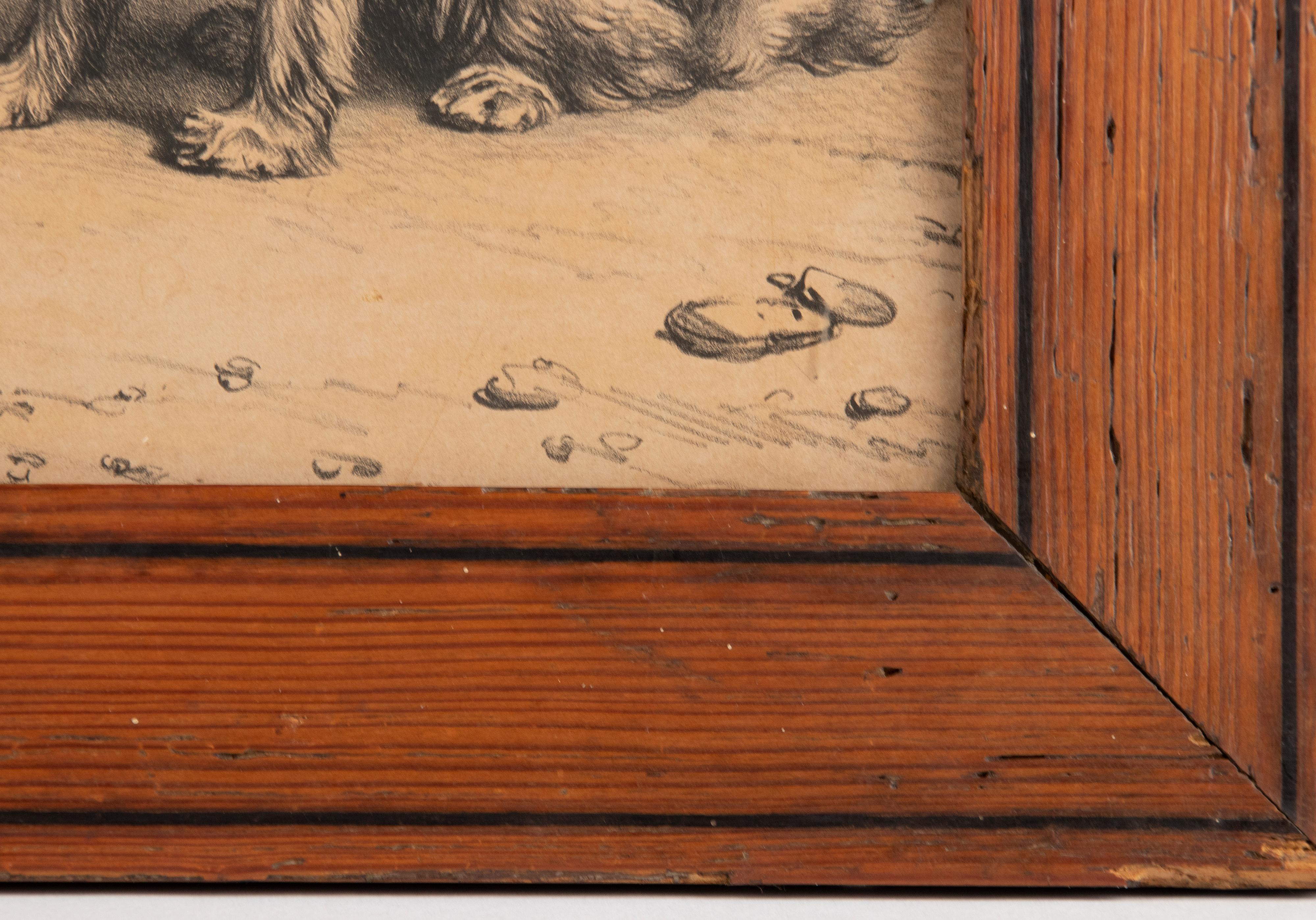 Litho de chiens du milieu du 19e siècle par Eugène Verboeckhoven en vente 6