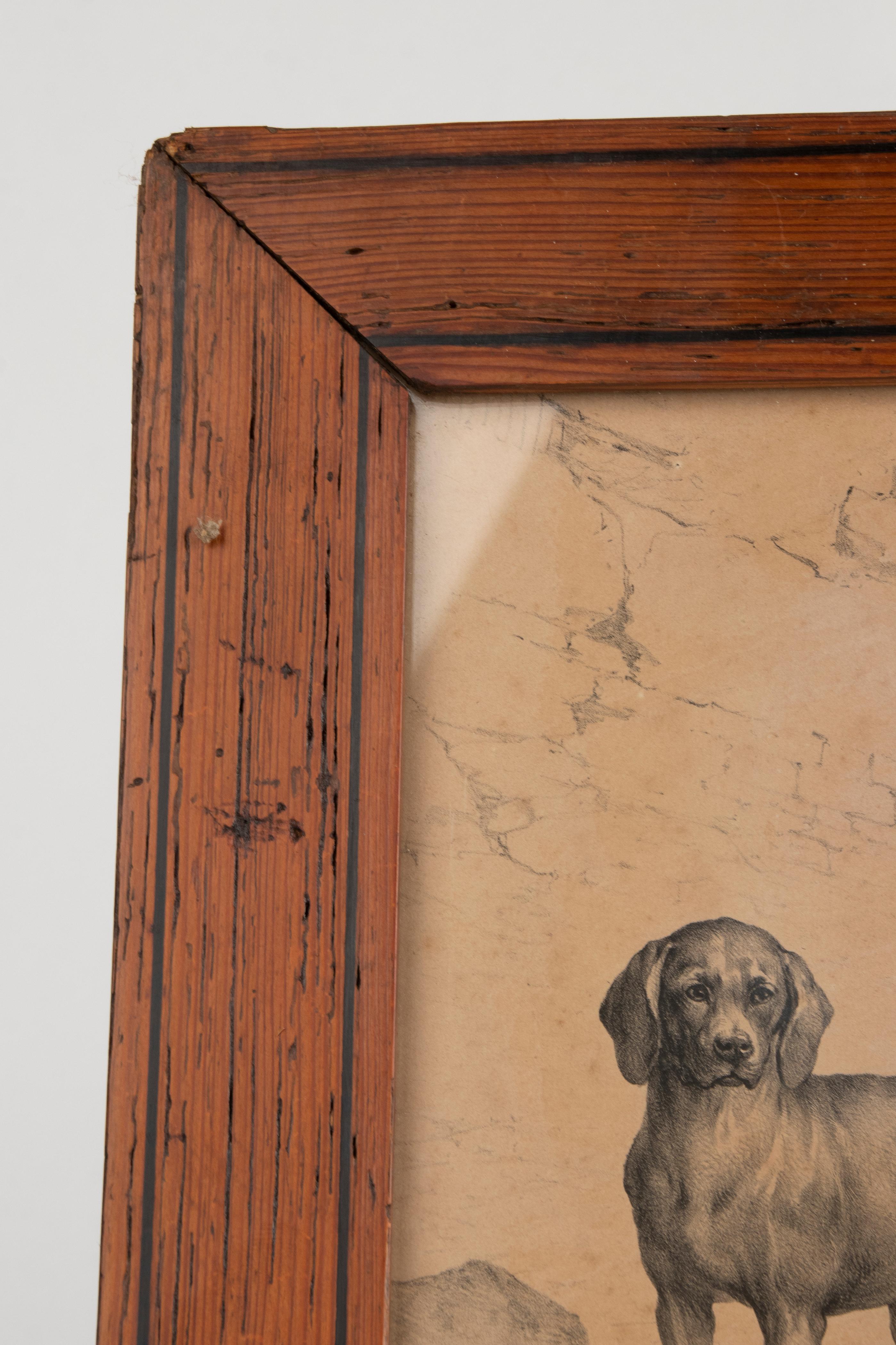 Litho de chiens du milieu du 19e siècle par Eugène Verboeckhoven en vente 8