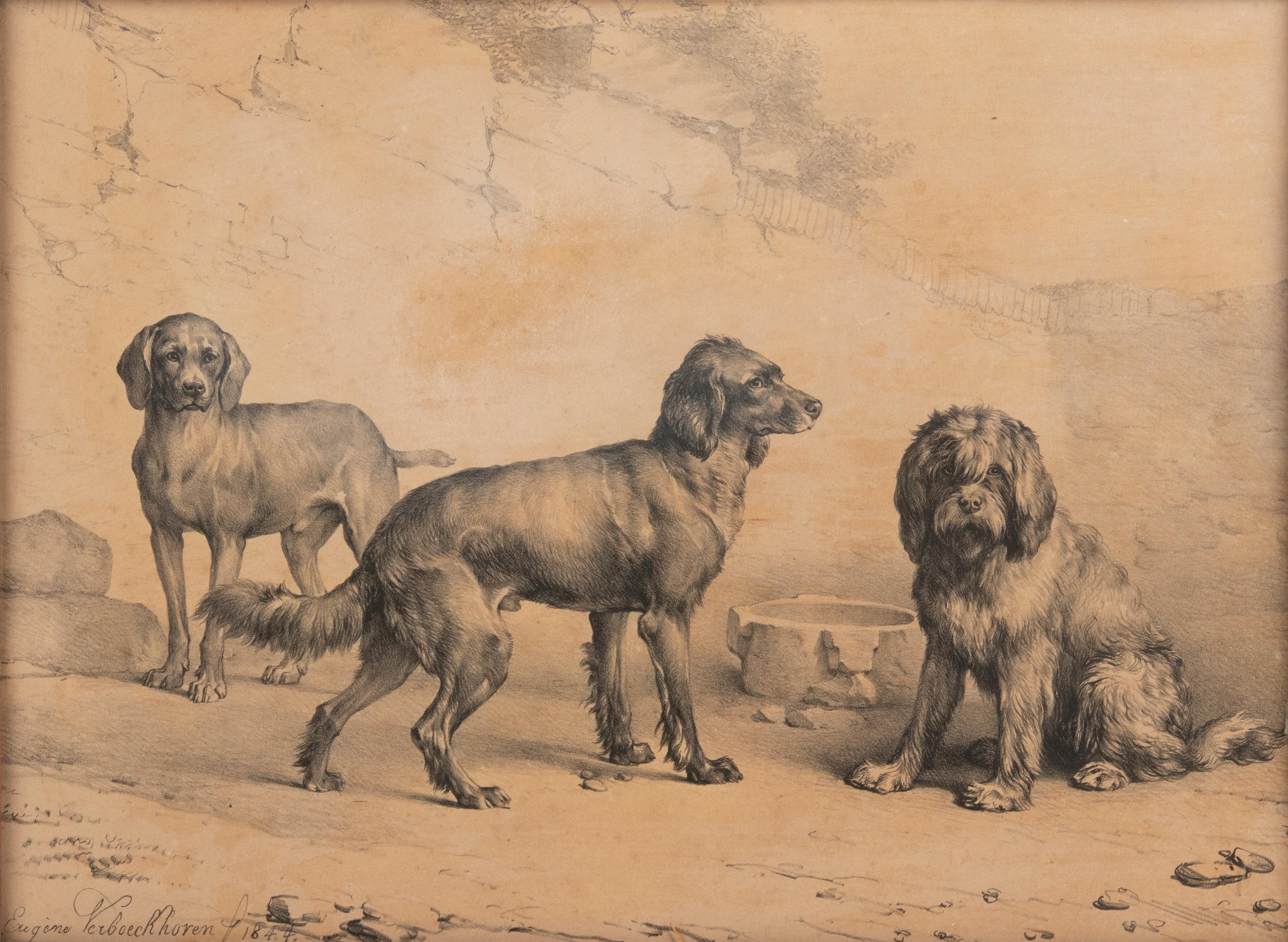 Belle lithographie ancienne avec des chiens, de l'artiste belge Eugène Verboeckhoven. 
L'impression est datée de 1844. Il est encadré derrière une vitre dans un simple cadre en bois, en pin. Le cadre date de la même époque que la gravure. 
En bon