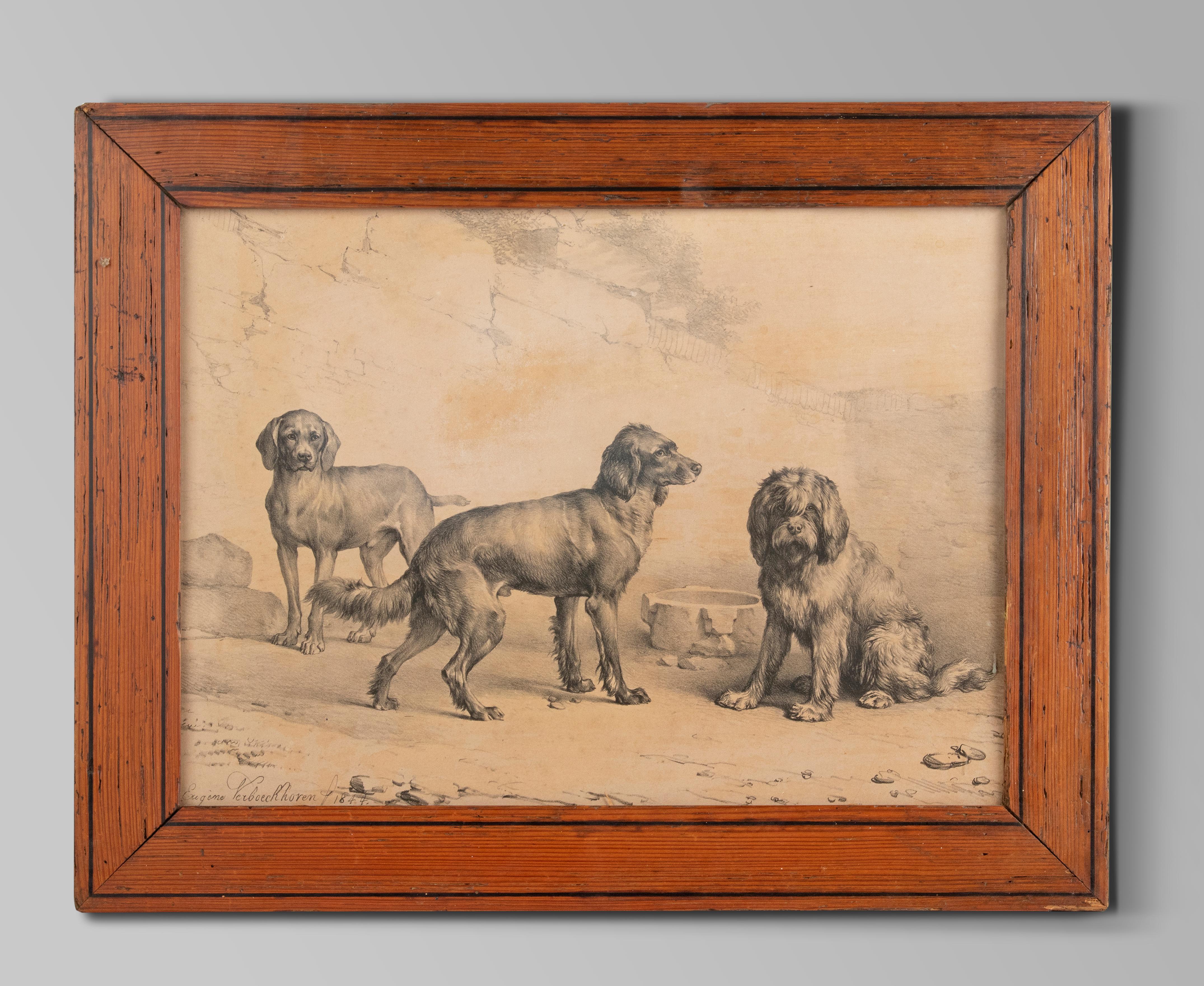 Louis-Philippe Litho de chiens du milieu du 19e siècle par Eugène Verboeckhoven en vente