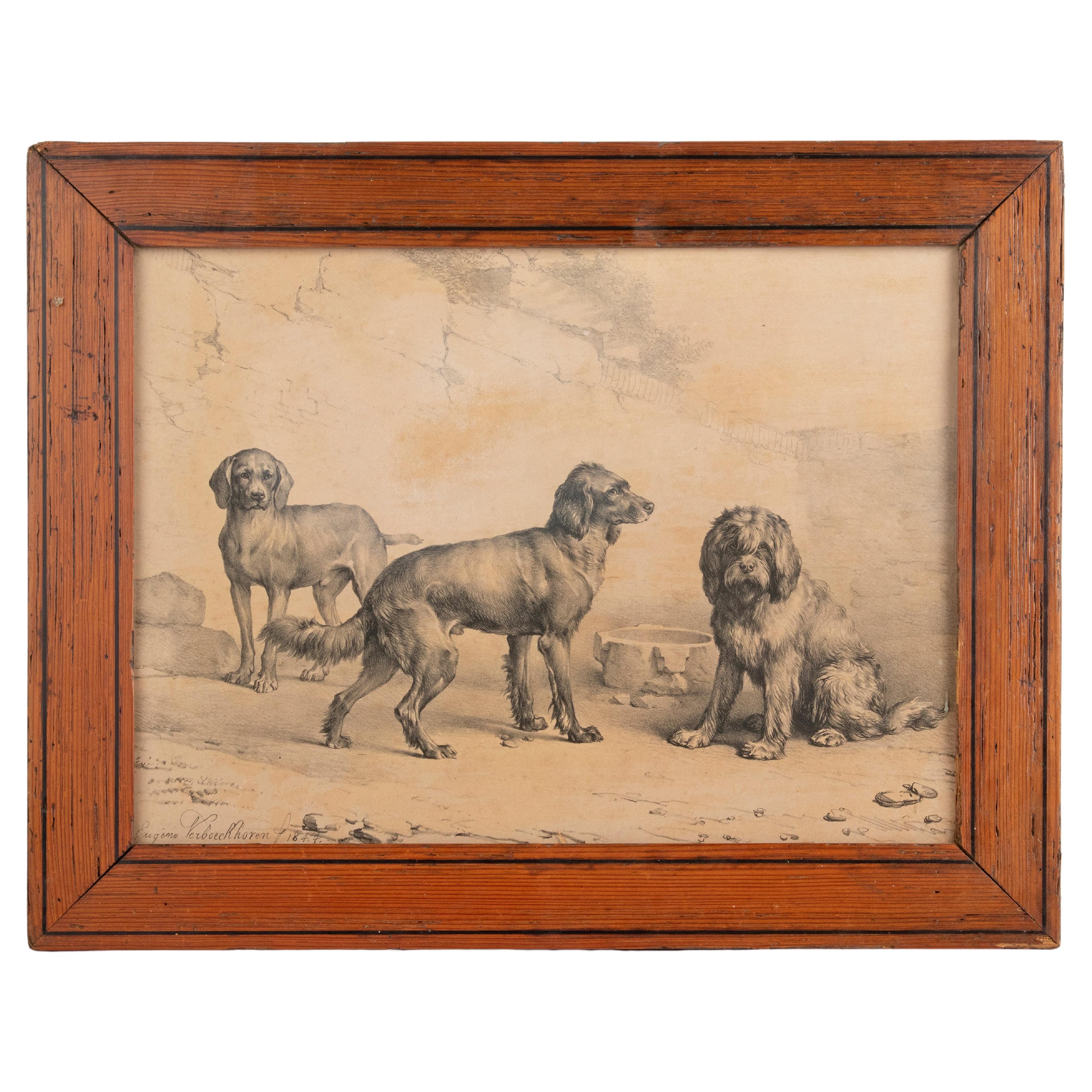Litho de chiens du milieu du 19e siècle par Eugène Verboeckhoven