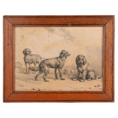 Mid-19th Century Litho of Dogs by Eugène Verboeckhoven
