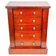 Mid 19th Century Mahogany Childs Wellington Chest