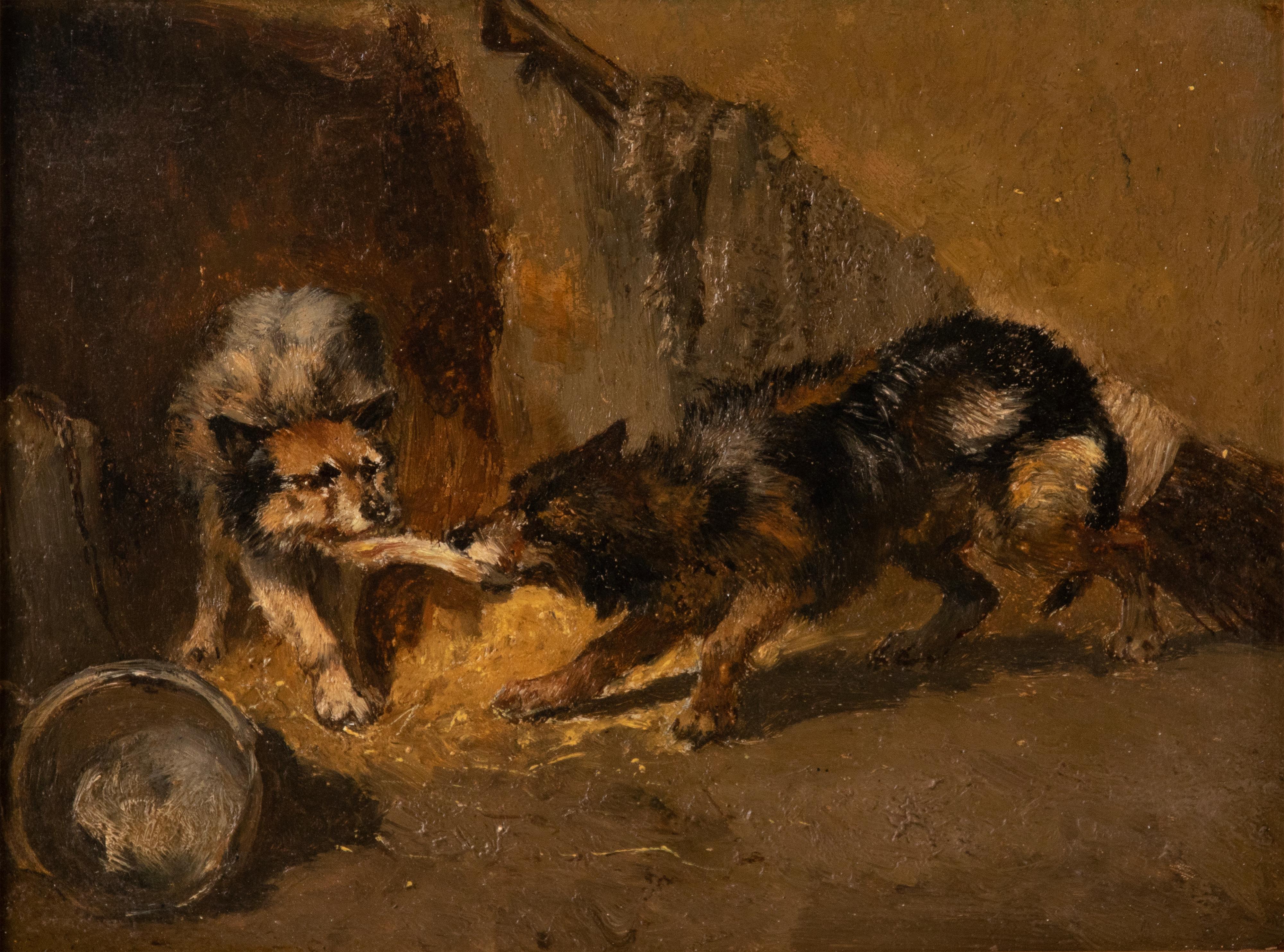 An oil painting of two rustic dogs fighting over a piece of food. It is painted on an oak panel. Signed top left. The signature is a bit faded, it's a monogram J.S. by Joseph Stevens. He often signed with a monogram. In a gilded frame frame with