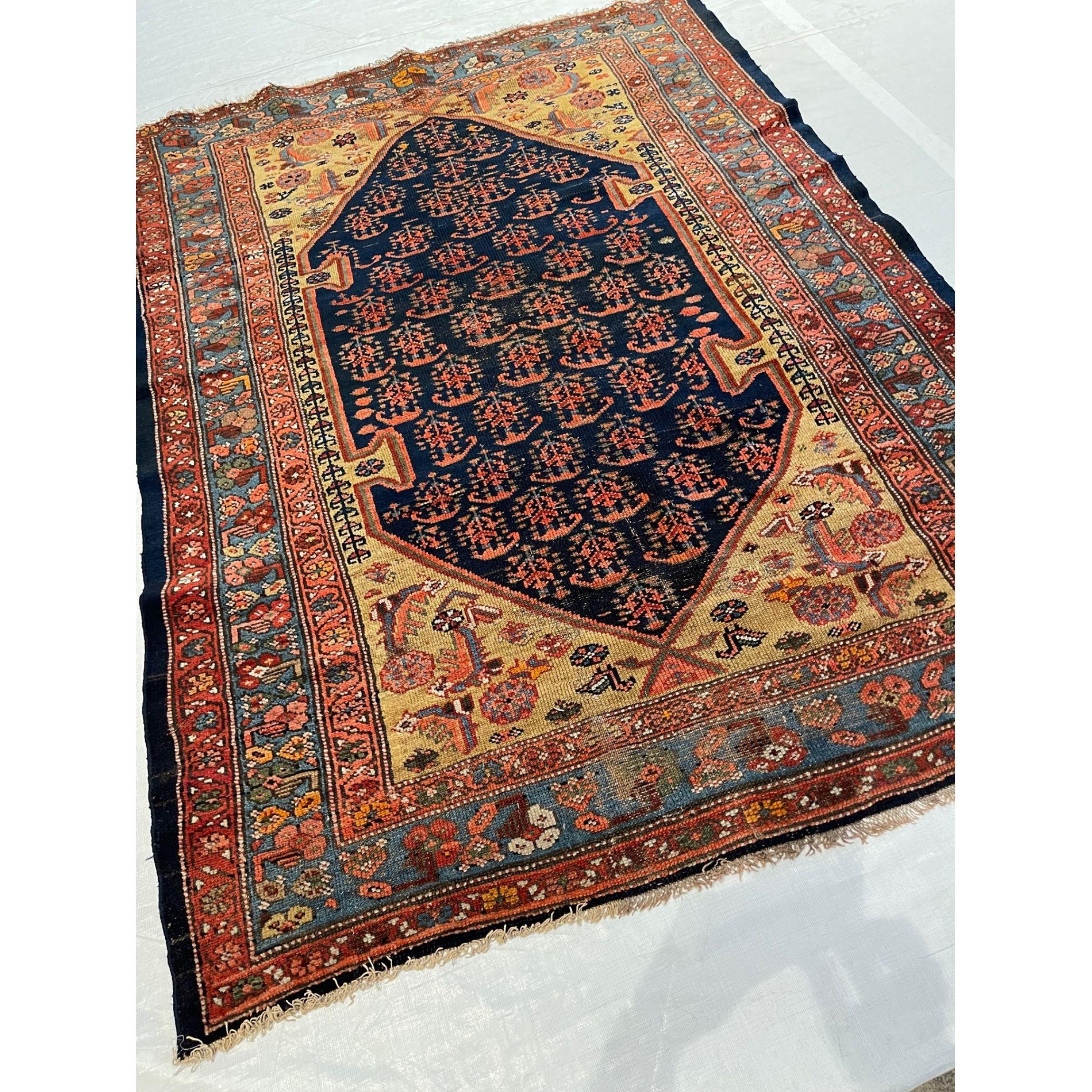 Tapis ancien de Zanjan 5.6x4.1, fait et noué à la main, laine sur base de coton, tapis tribal, tapis persan authentique, teintures végétales, tapis tribal du milieu du 19ème siècle 