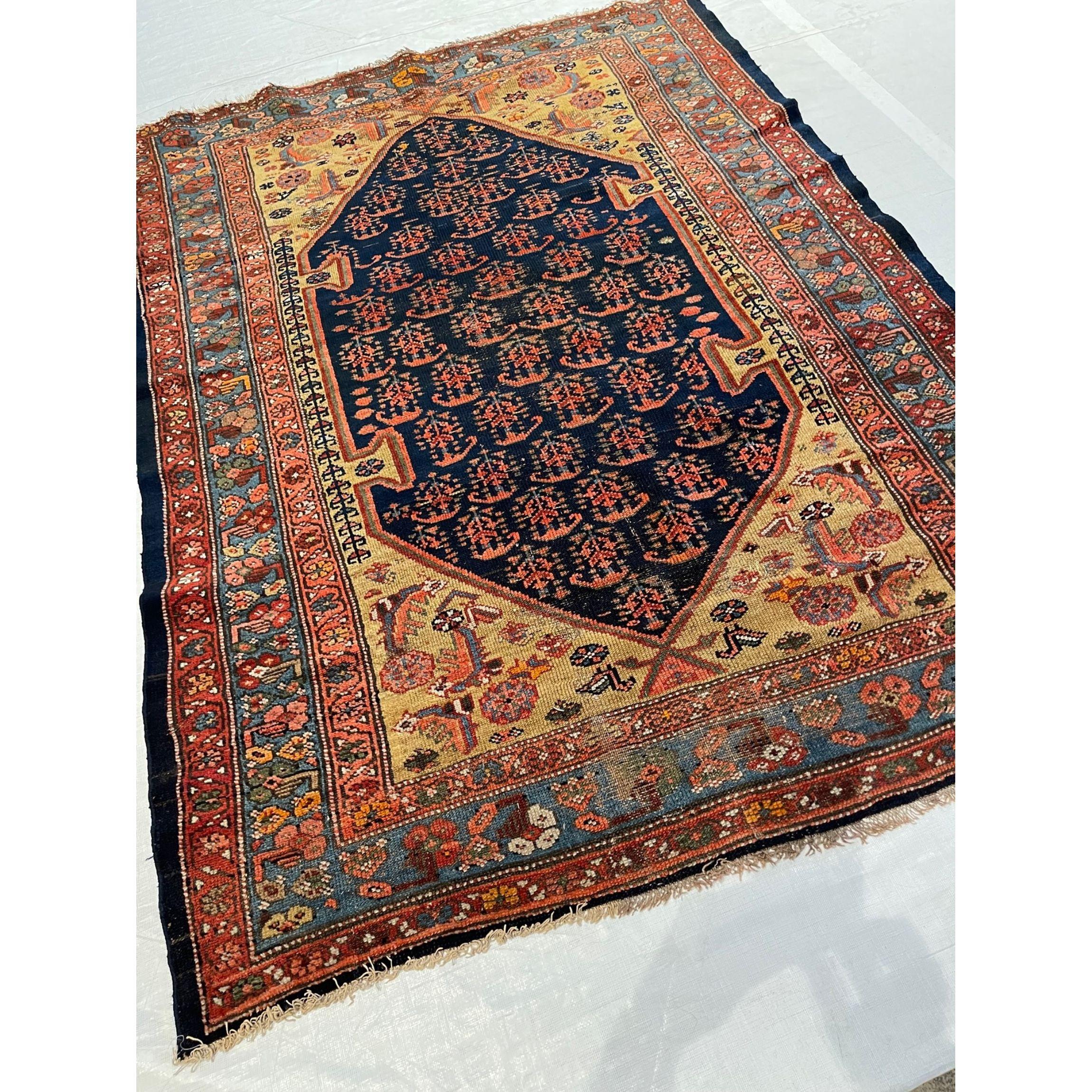 Tappeto antico Zanjan 5.6x4.1, fatto a mano e annodato a mano, lana su base di cotone, tappeto tribale, autentico tappeto persiano, tinture vegetali, tappeto tribale della metà del XIX secolo 