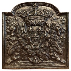 Antique Mid-19th Century Polished Iron Fireback with French Royal Coat of Arms