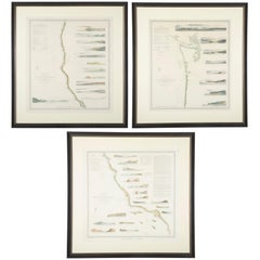 Mid-19th Century Set of Three Charts of the West Coast