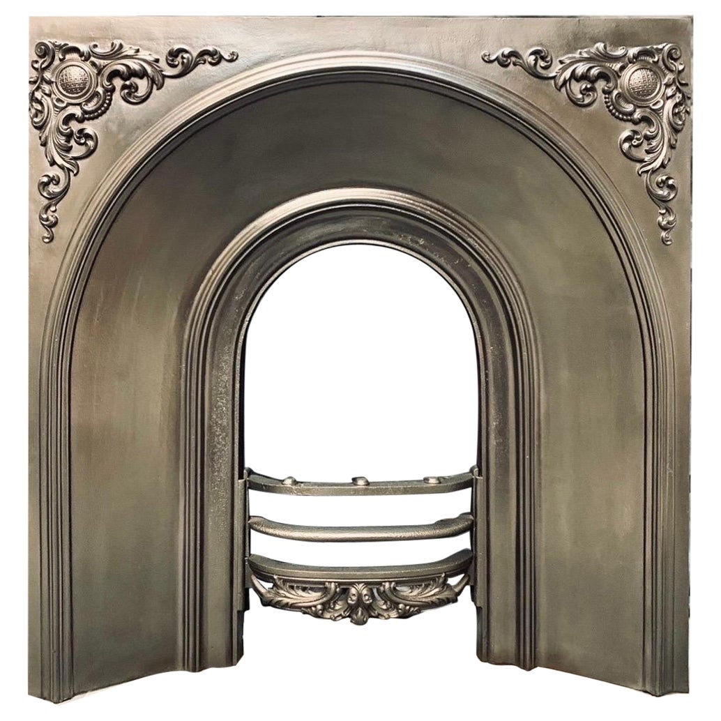 Mid 19th Century Victorian Cast Iron Fireplace Insert.