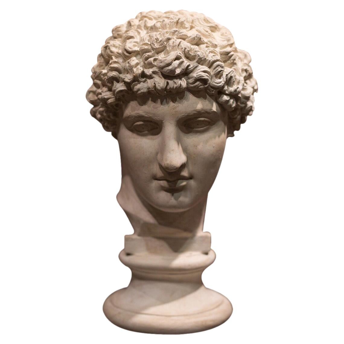 Italian Busts 417 For Sale at 1stdibs