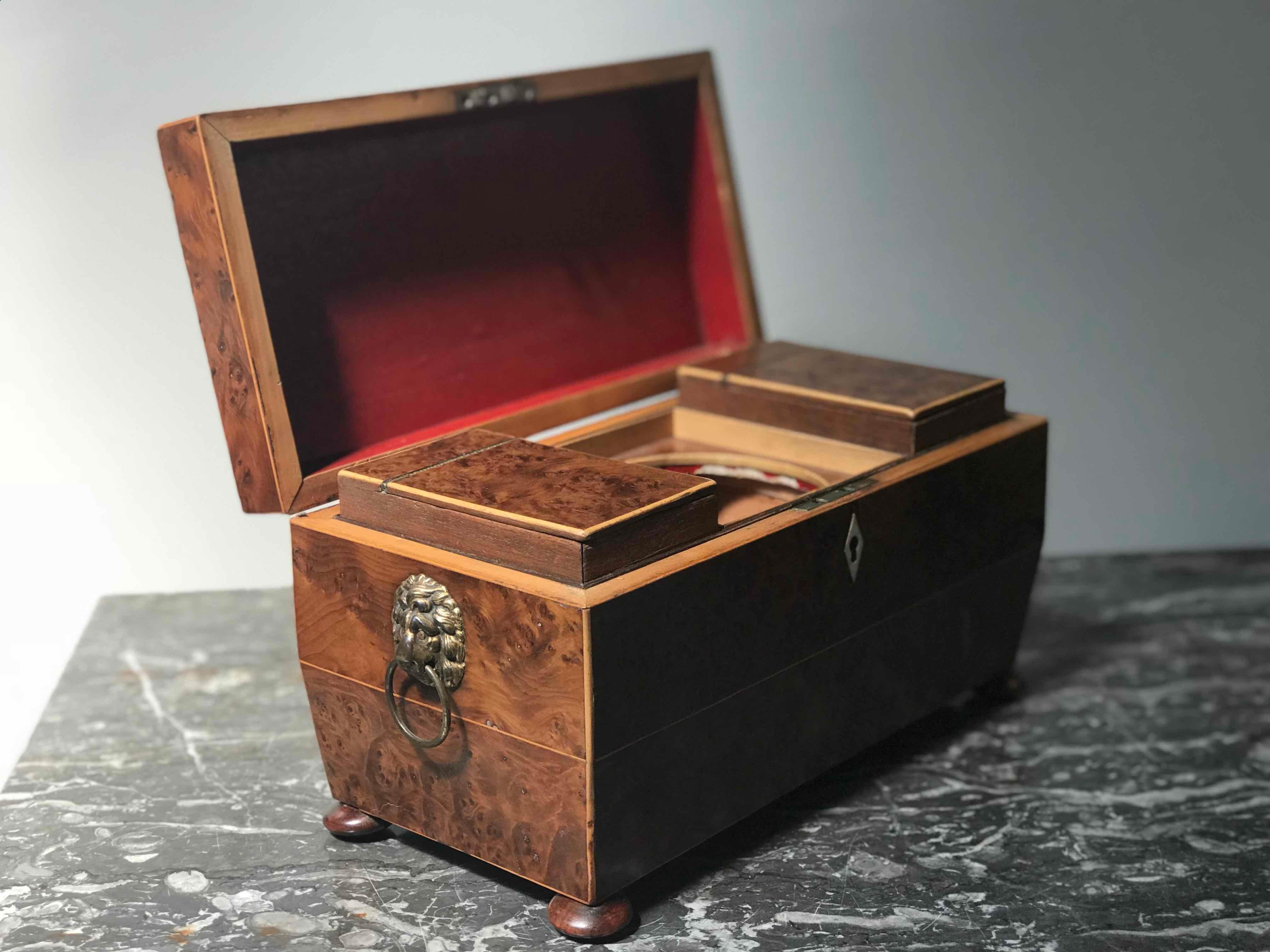 Mid-19th Century Yew Wood Tea Caddy Box from England  In Good Condition In Los Angeles, CA