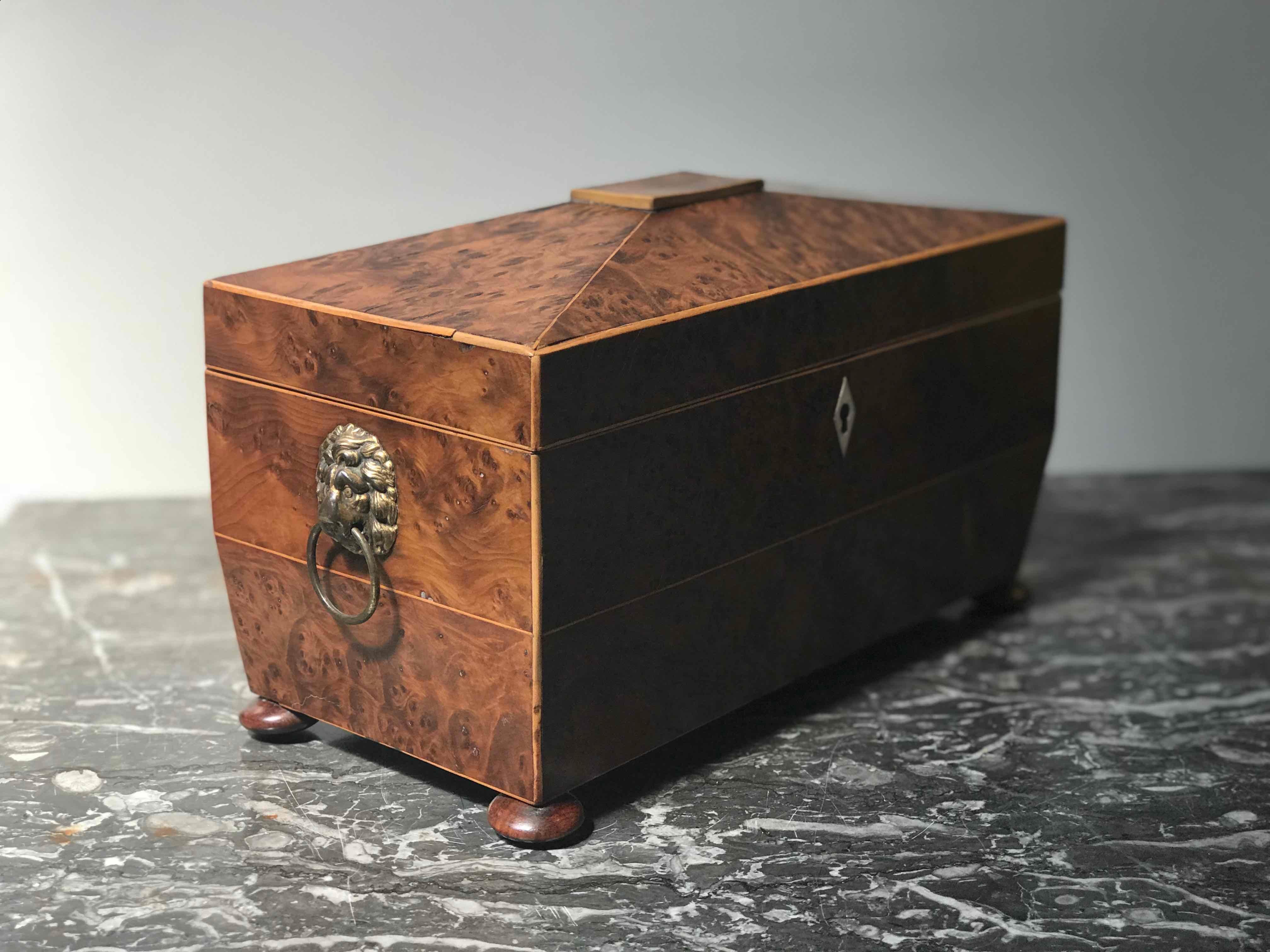 Mid-19th Century Yew Wood Tea Caddy Box from England  1