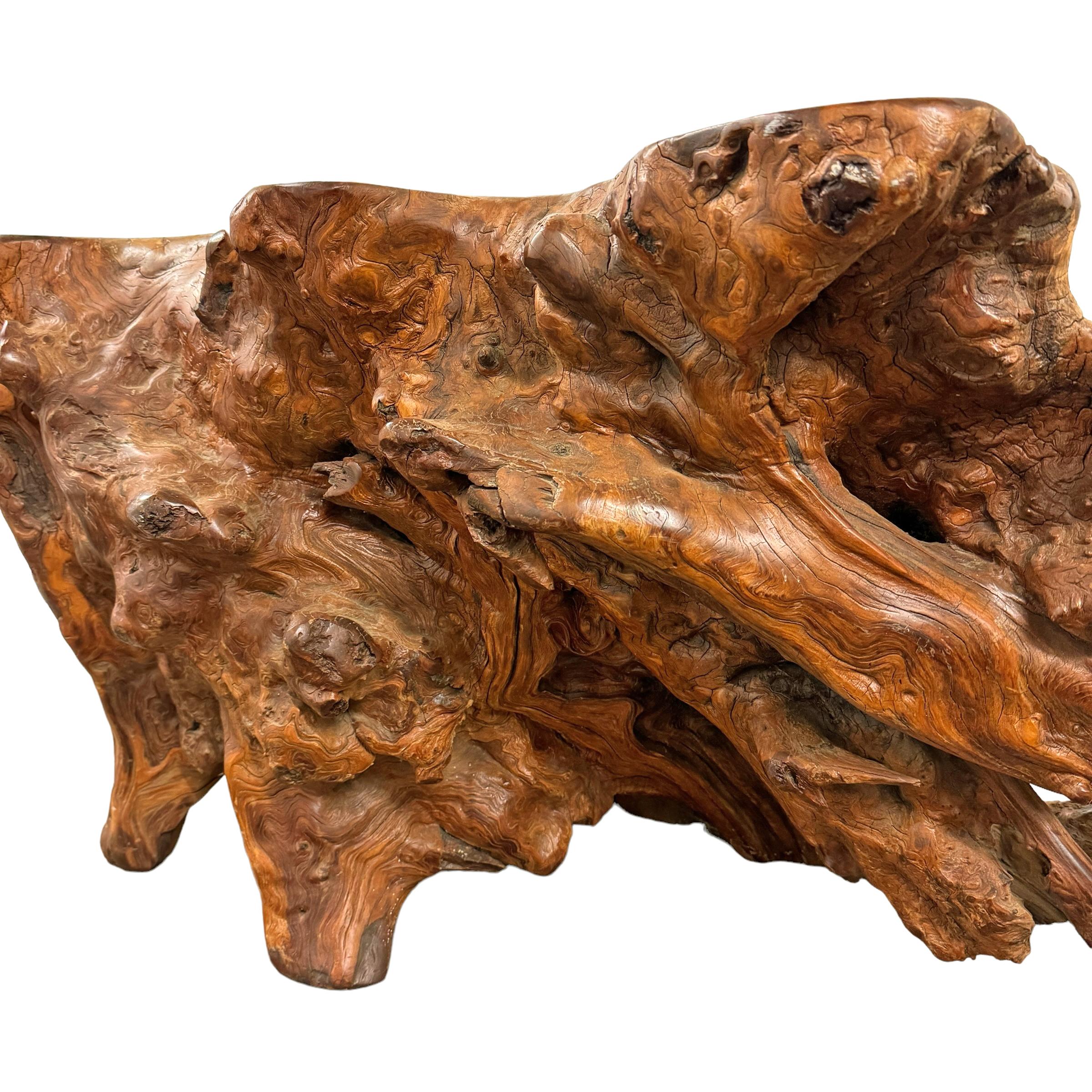 Table basse américaine du milieu du 20e siècle en bois de ronce de ronce en vente 4