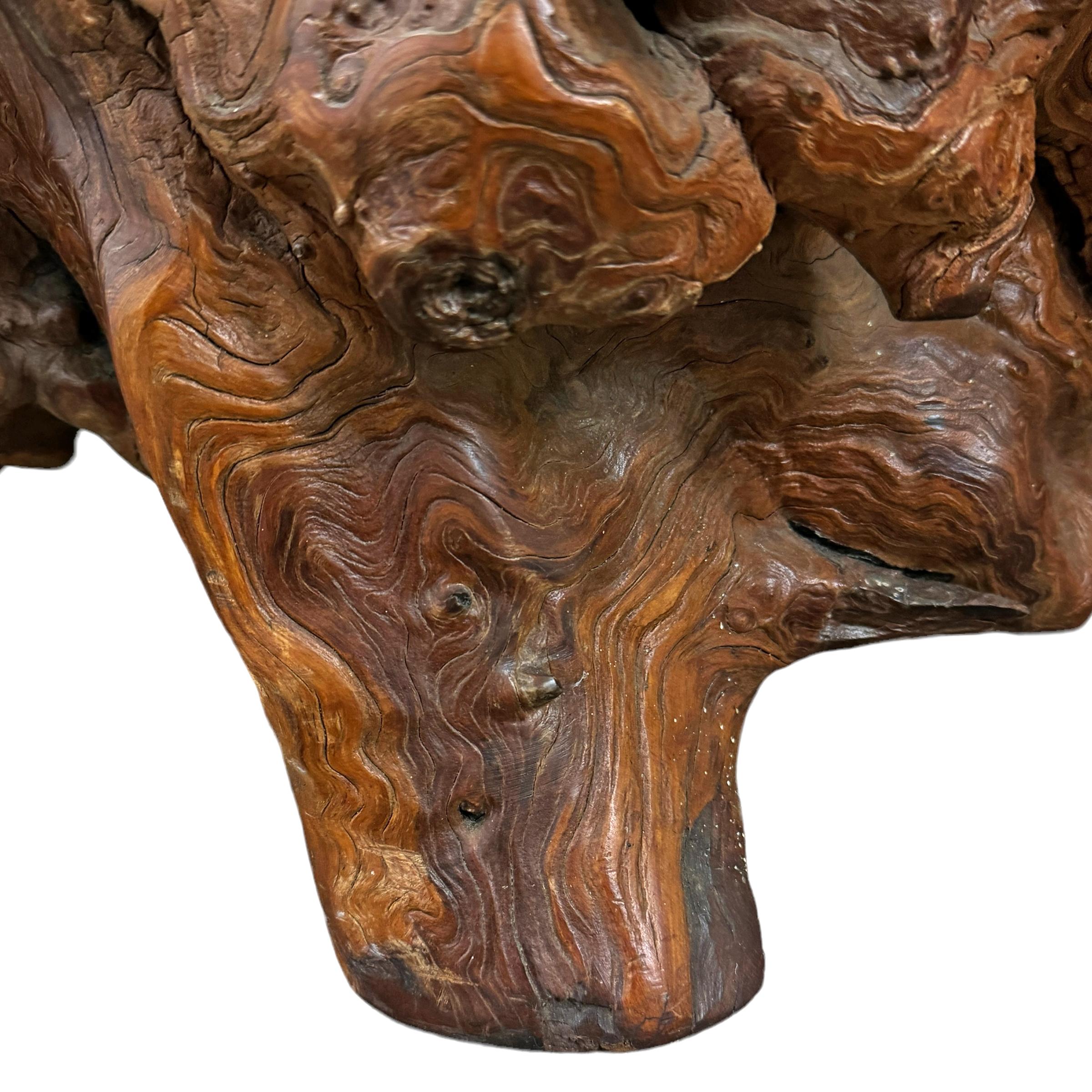 Table basse américaine du milieu du 20e siècle en bois de ronce de ronce en vente 6