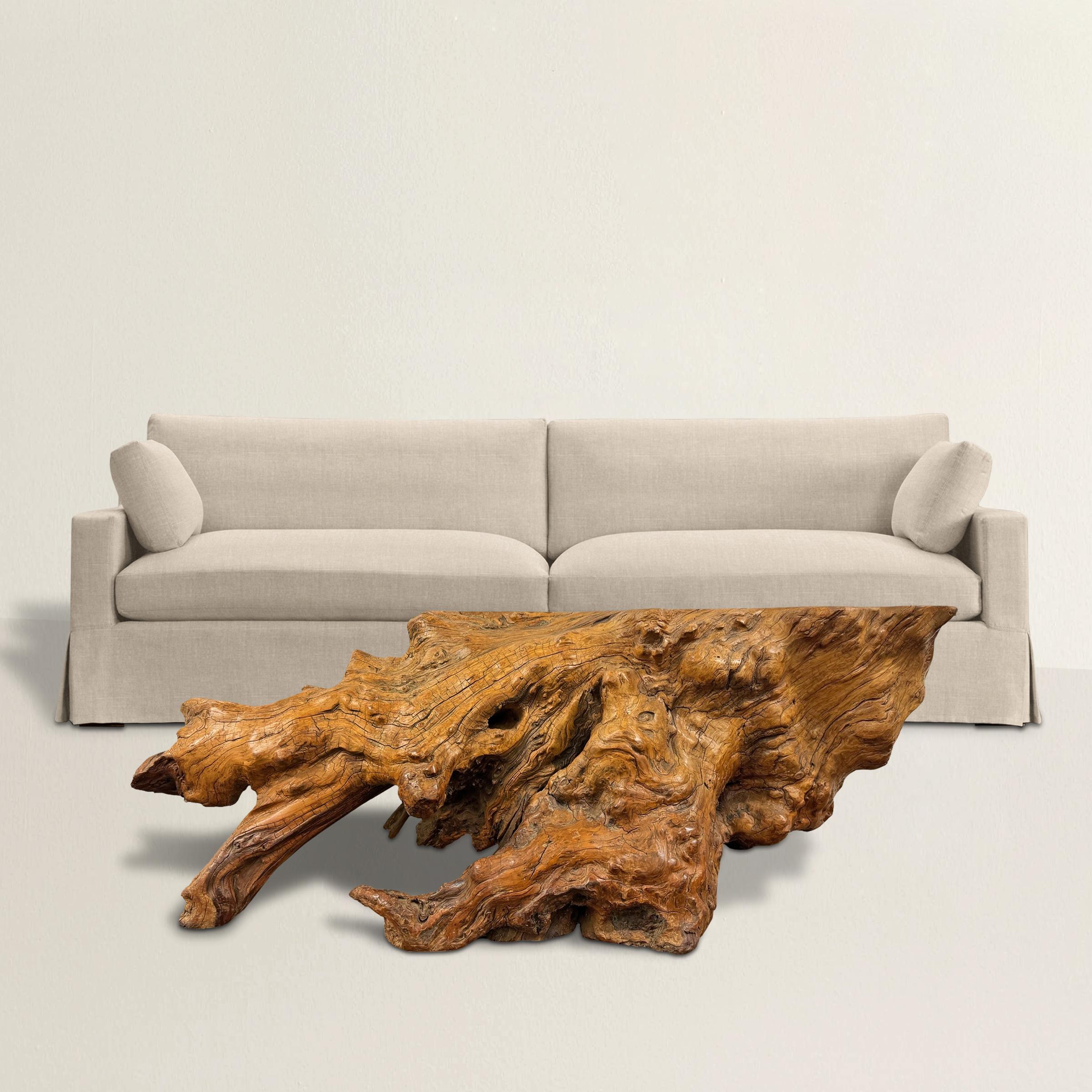 Découvrez l'incarnation de la beauté naturelle et de l'artisanat américain du milieu du XXe siècle avec cette extraordinaire table basse en bois de racine lustré, une véritable merveille venue tout droit du cœur du nord-ouest du Pacifique. Sculptée