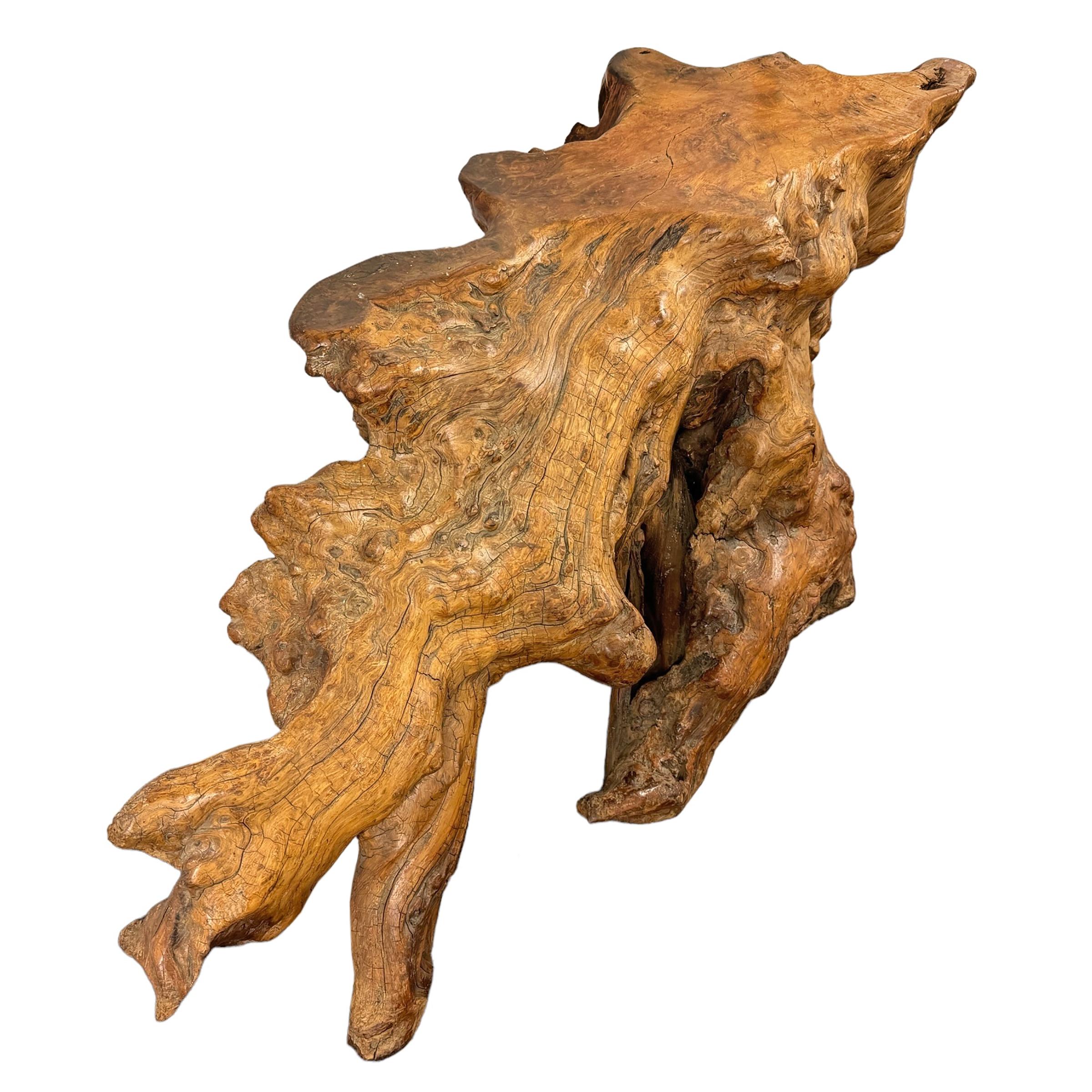 Table basse américaine du milieu du 20e siècle en bois de ronce de ronce Bon état - En vente à Chicago, IL