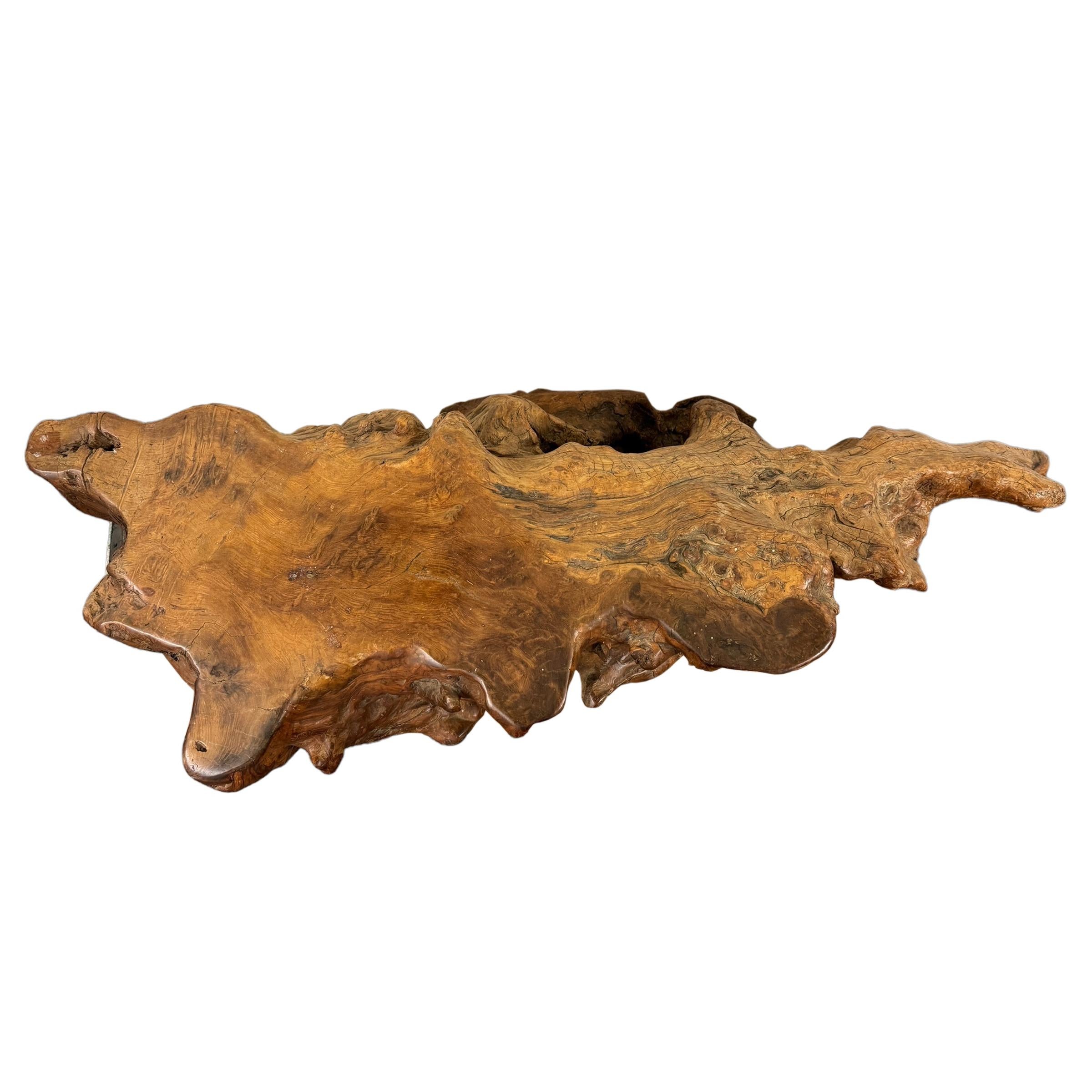 Table basse américaine du milieu du 20e siècle en bois de ronce de ronce en vente 1