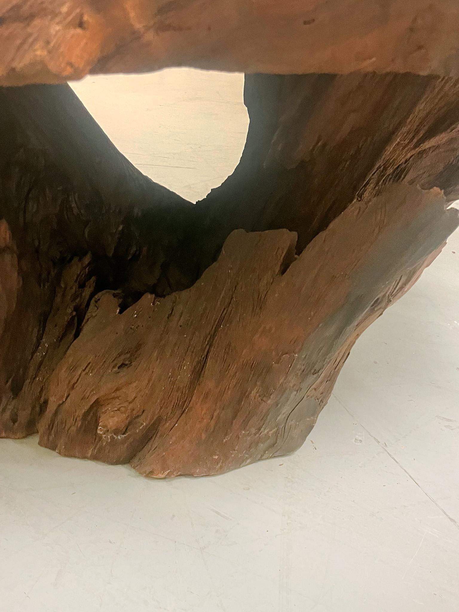 Mid-20th Century Amorphous Root Coffee Table 8