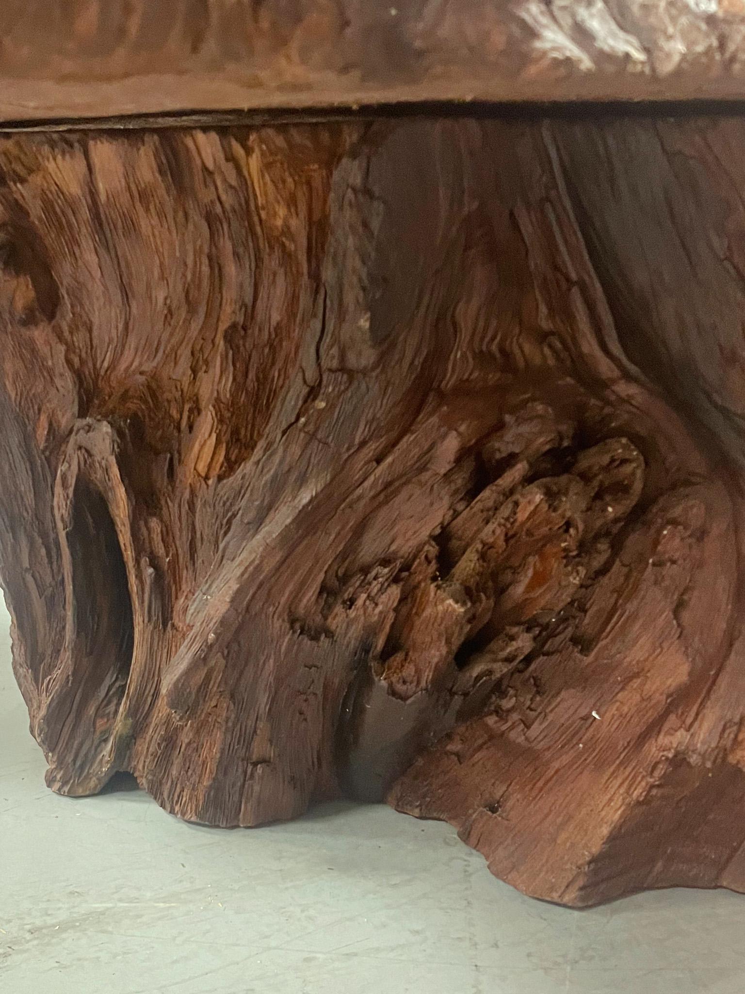 Mid-20th Century Amorphous Root Coffee Table 9