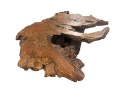 Mid-20th Century Amorphous Root Coffee Table