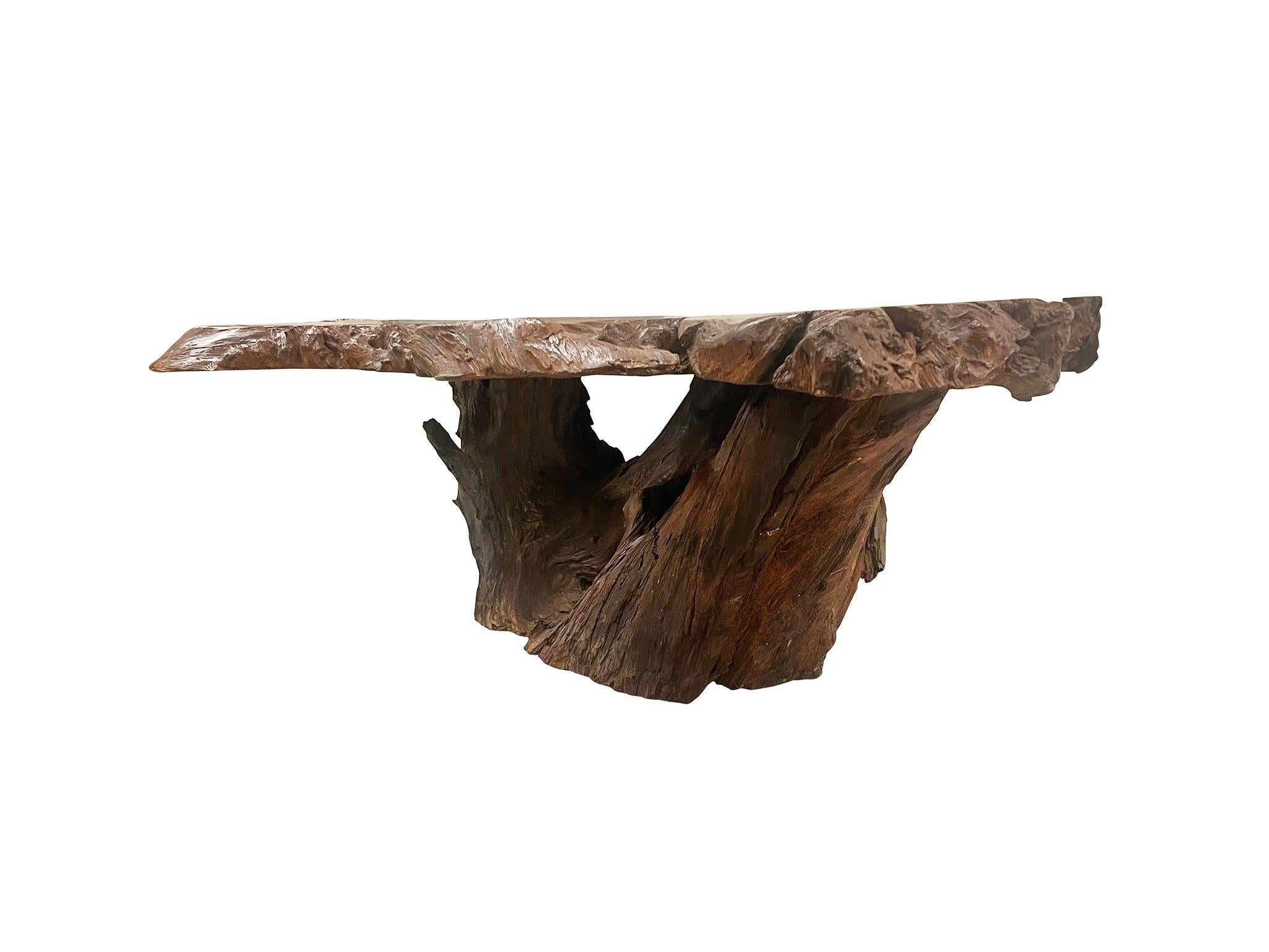 Mid-20th Century Amorphous Root Coffee Table In Good Condition For Sale In New York, NY