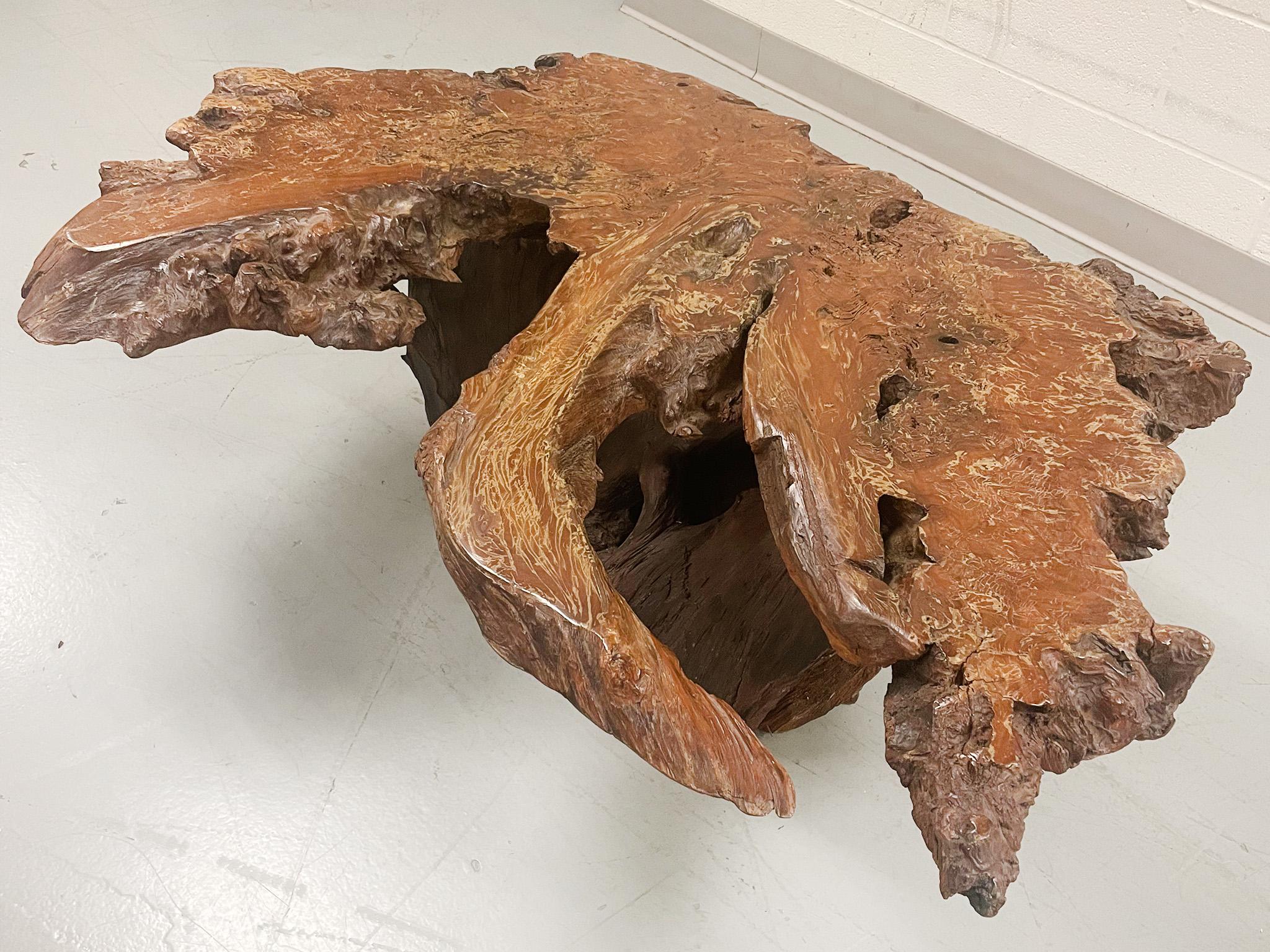 Wood Mid-20th Century Amorphous Root Coffee Table For Sale