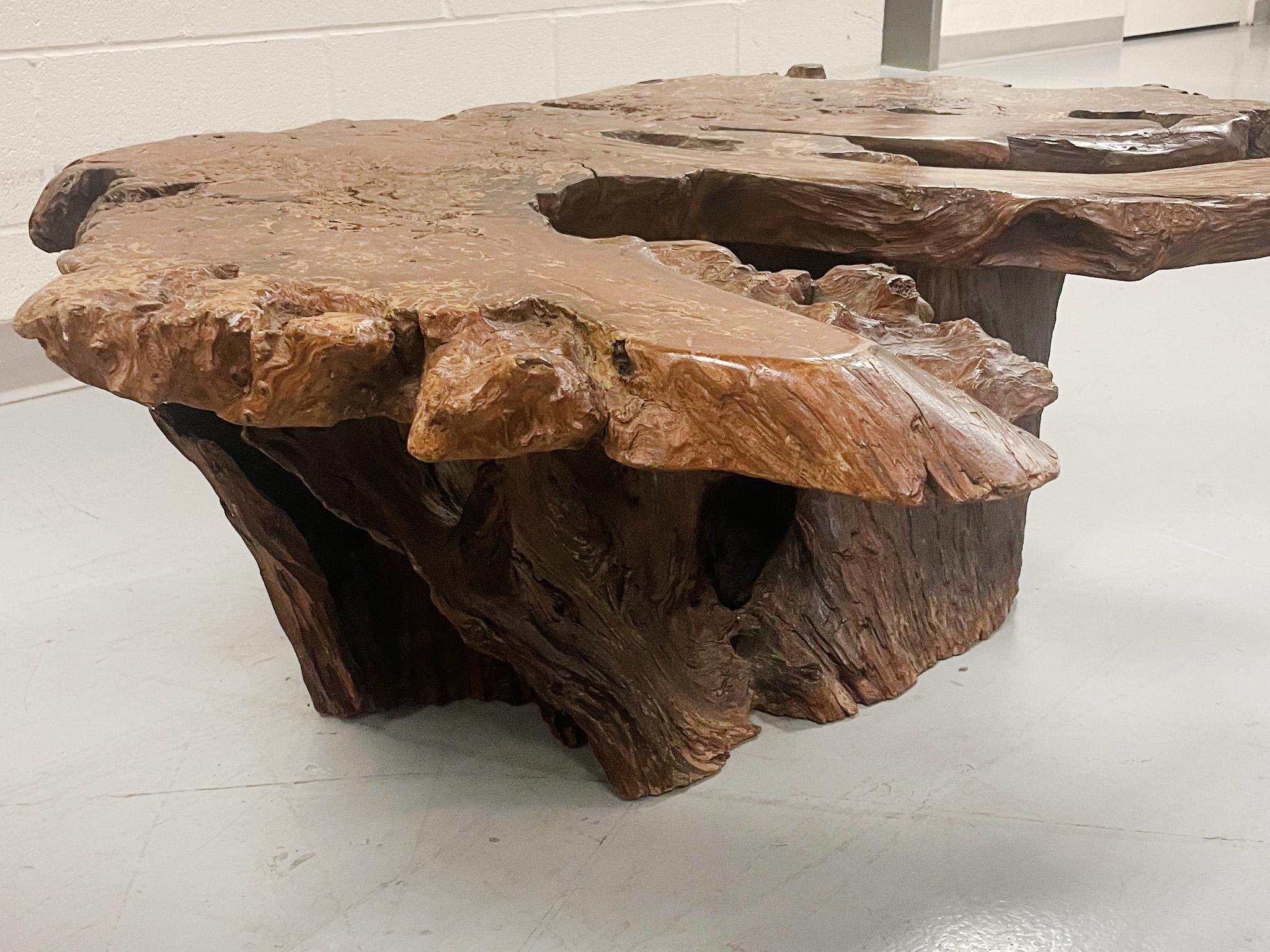 Mid-20th Century Amorphous Root Coffee Table For Sale 1