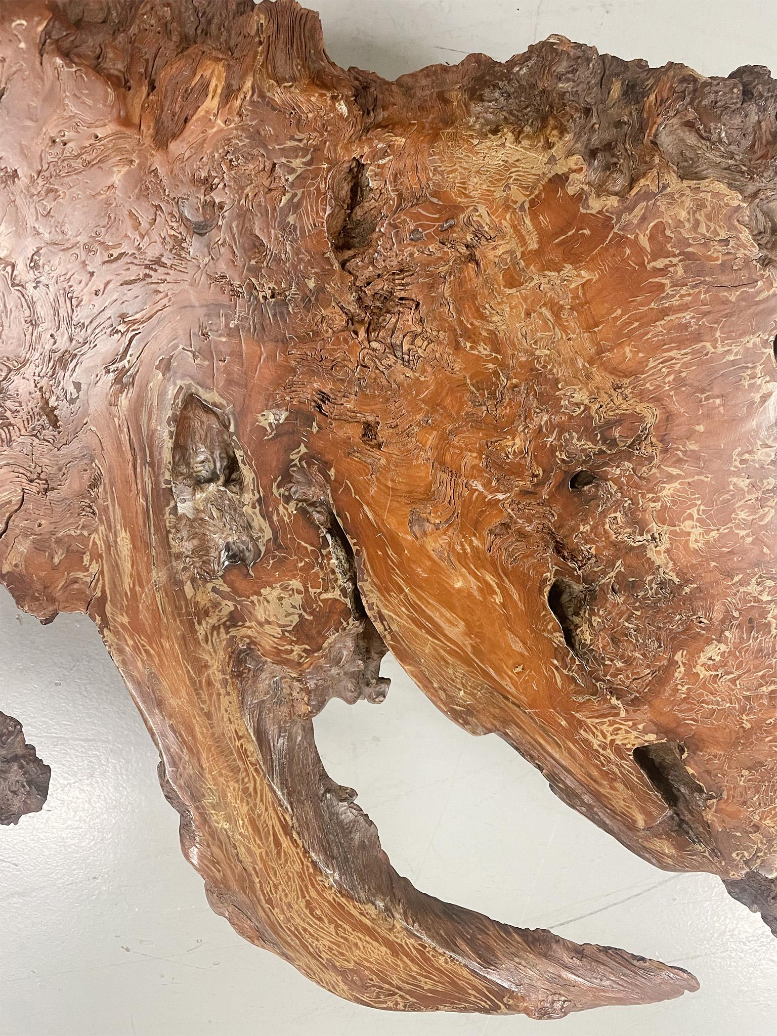 Mid-20th Century Amorphous Root Coffee Table For Sale 3