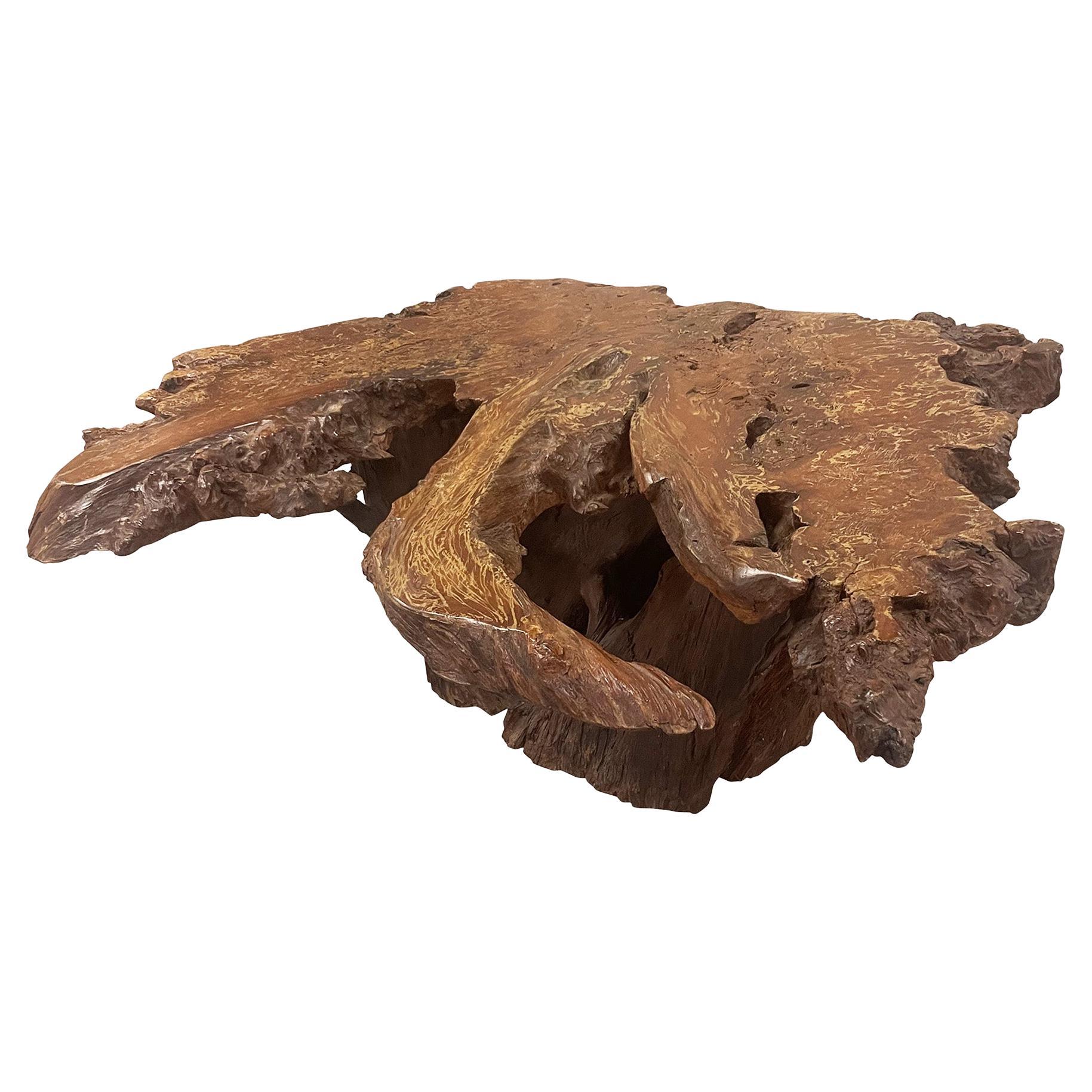 Mid-20th Century Amorphous Root Coffee Table For Sale
