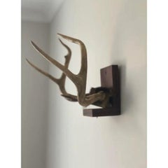 Mid 20th Century Antlers on Wood Bracket 6 Point