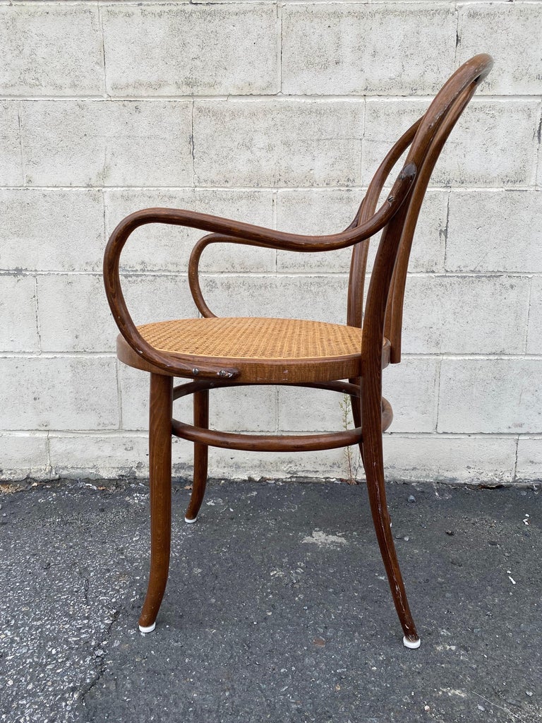 Mid20th Century Bentwood and Cane Chair For Sale at 1stDibs