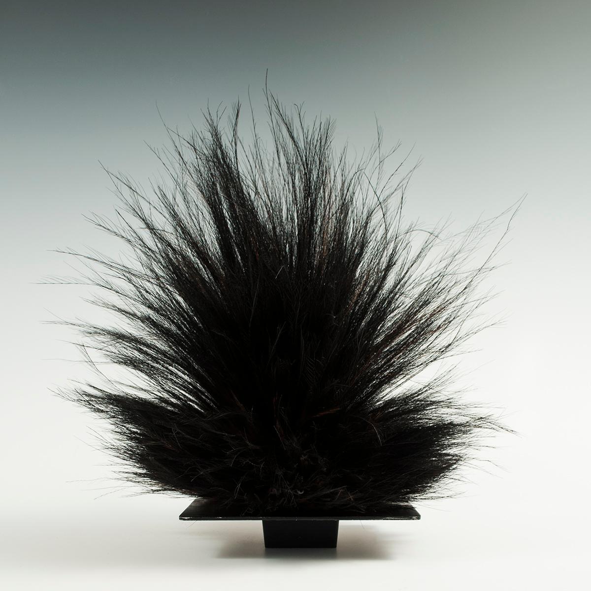 Offered by Zena Kruzick
Mid-20th century Cassowary feather headdress, Western Highlands, Papua New Guinea

This cassowary feather headdress is placed on a black metal frog, which will be included if desired. It's in great condition, with clean