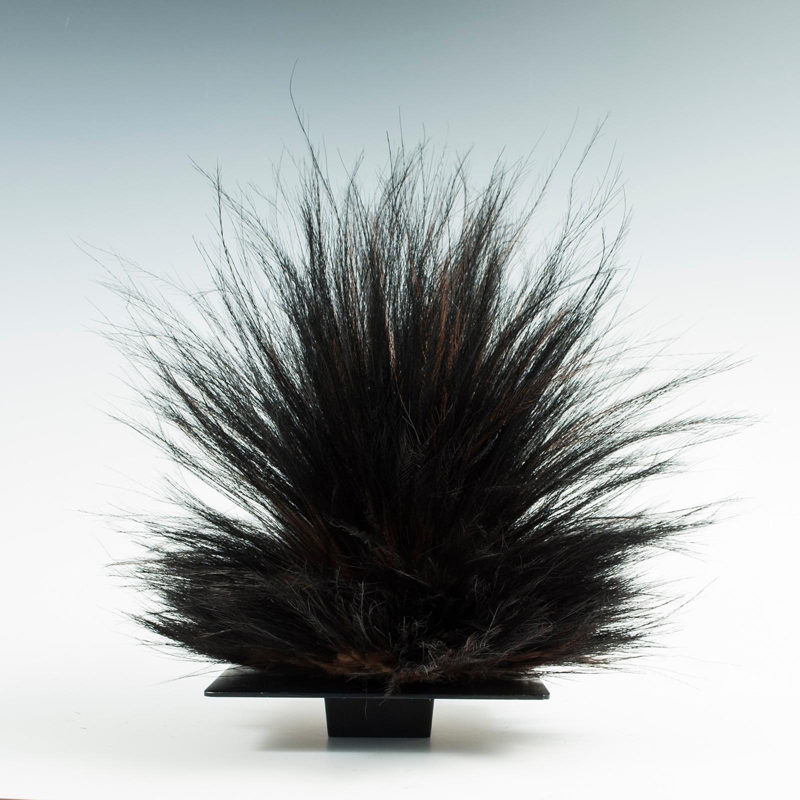 black feather headdress