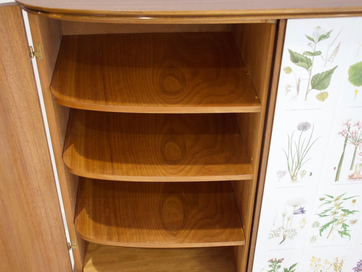 Mid-20th Century Cabinet with Nordens Flora Illustrations by C. Lindman 7