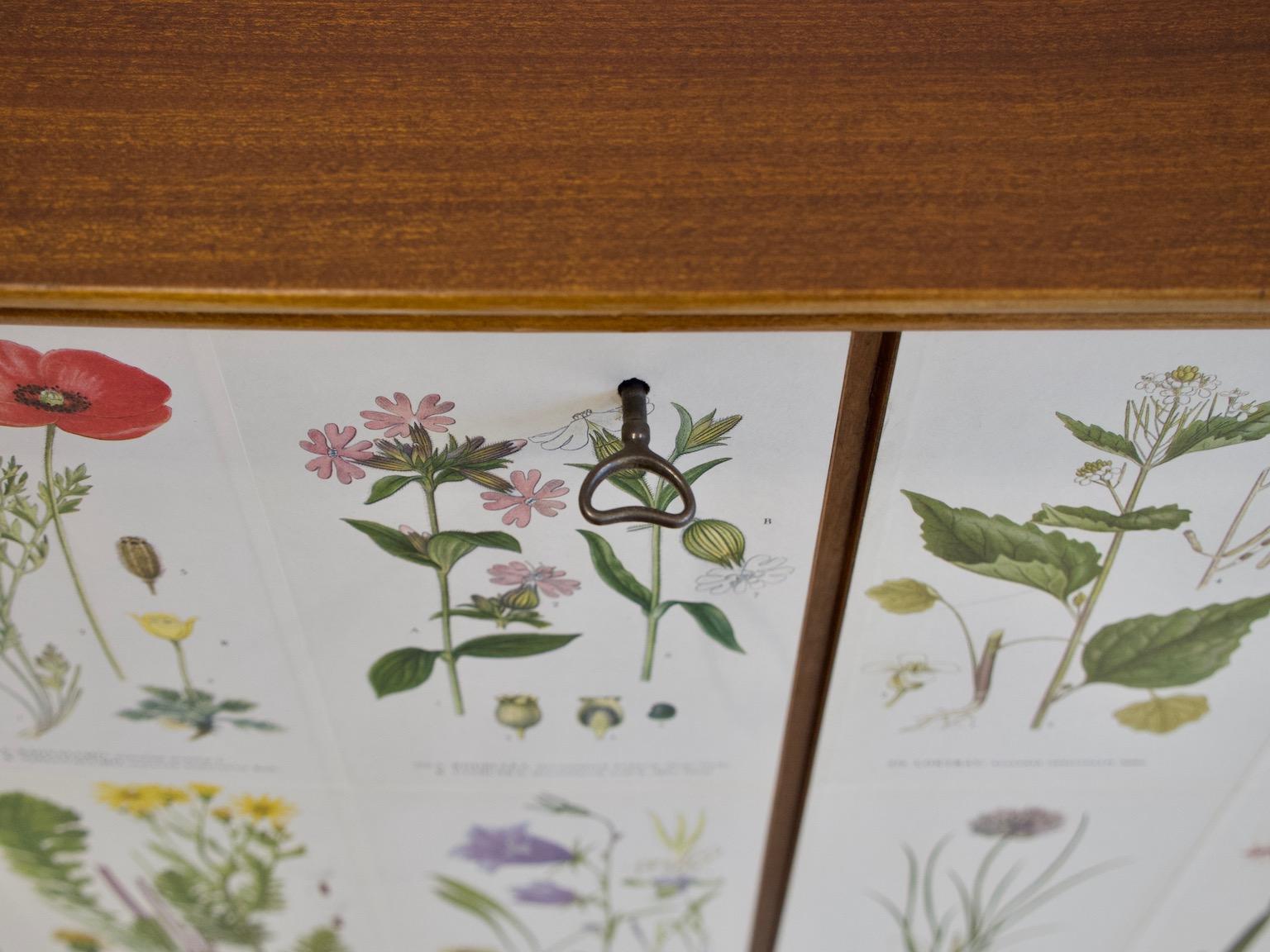 Mid-20th Century Cabinet with Nordens Flora Illustrations by C. Lindman 8