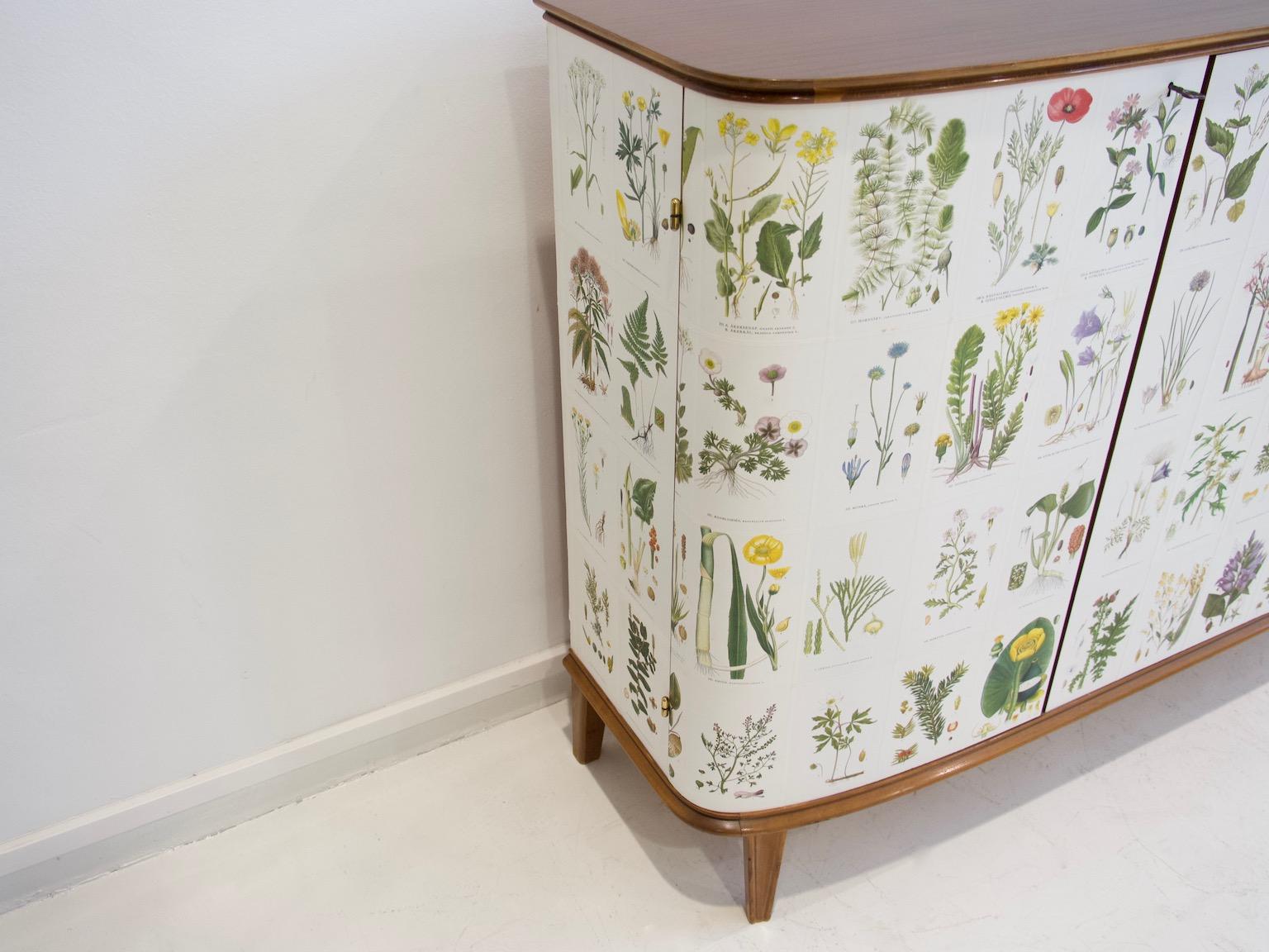 Mid-20th Century Cabinet with Nordens Flora Illustrations by C. Lindman 12