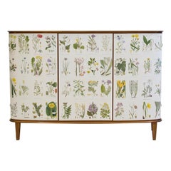 Vintage Mid-20th Century Cabinet with Nordens Flora Illustrations by C. Lindman